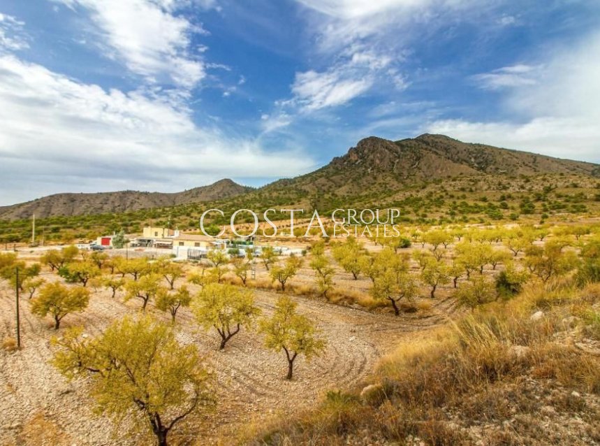 Odsprzedaż - Willa -
Jumilla - Jumilla Centro