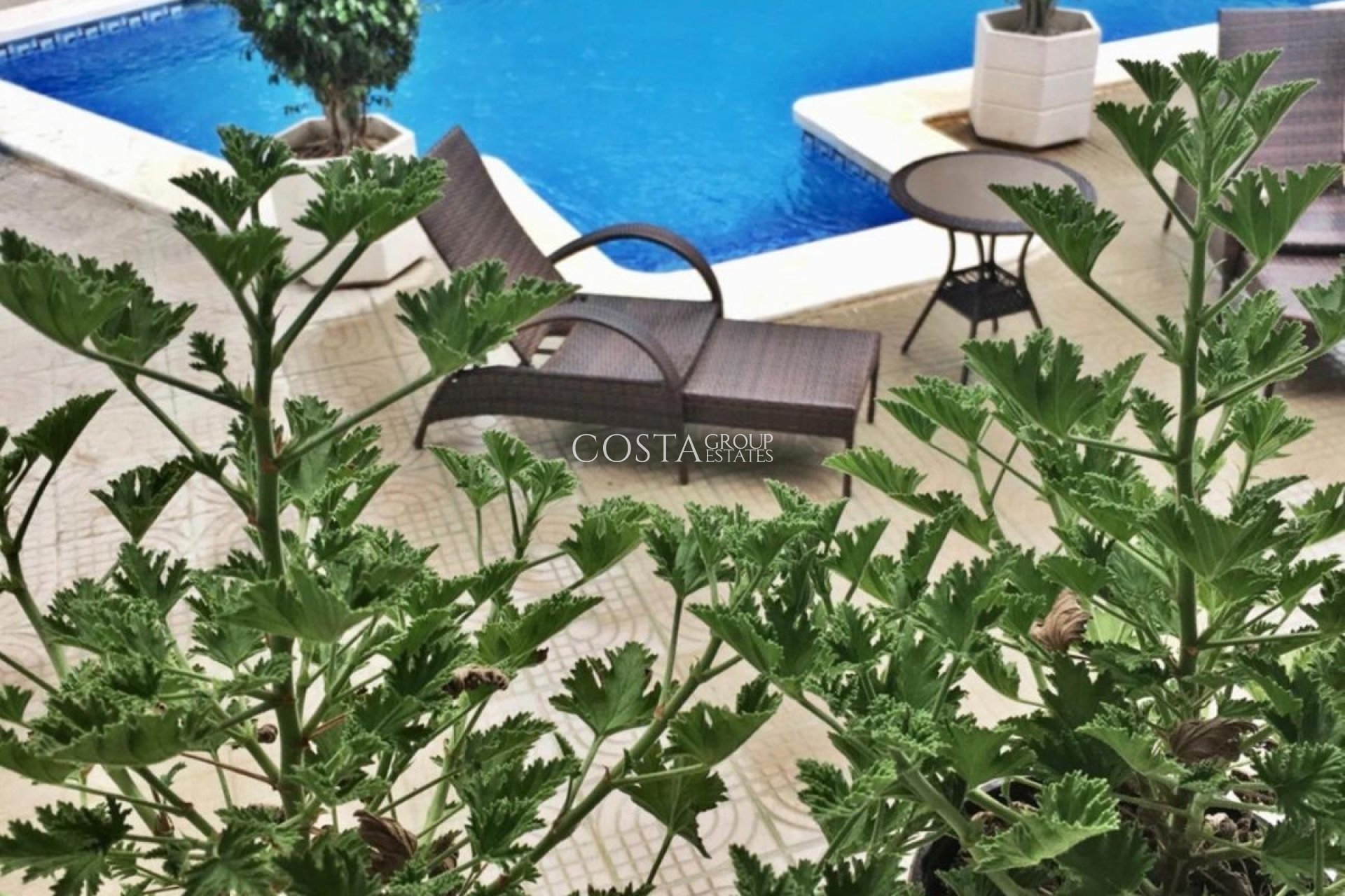 Odsprzedaż - Willa -
Rojales - Ciudad Quesada