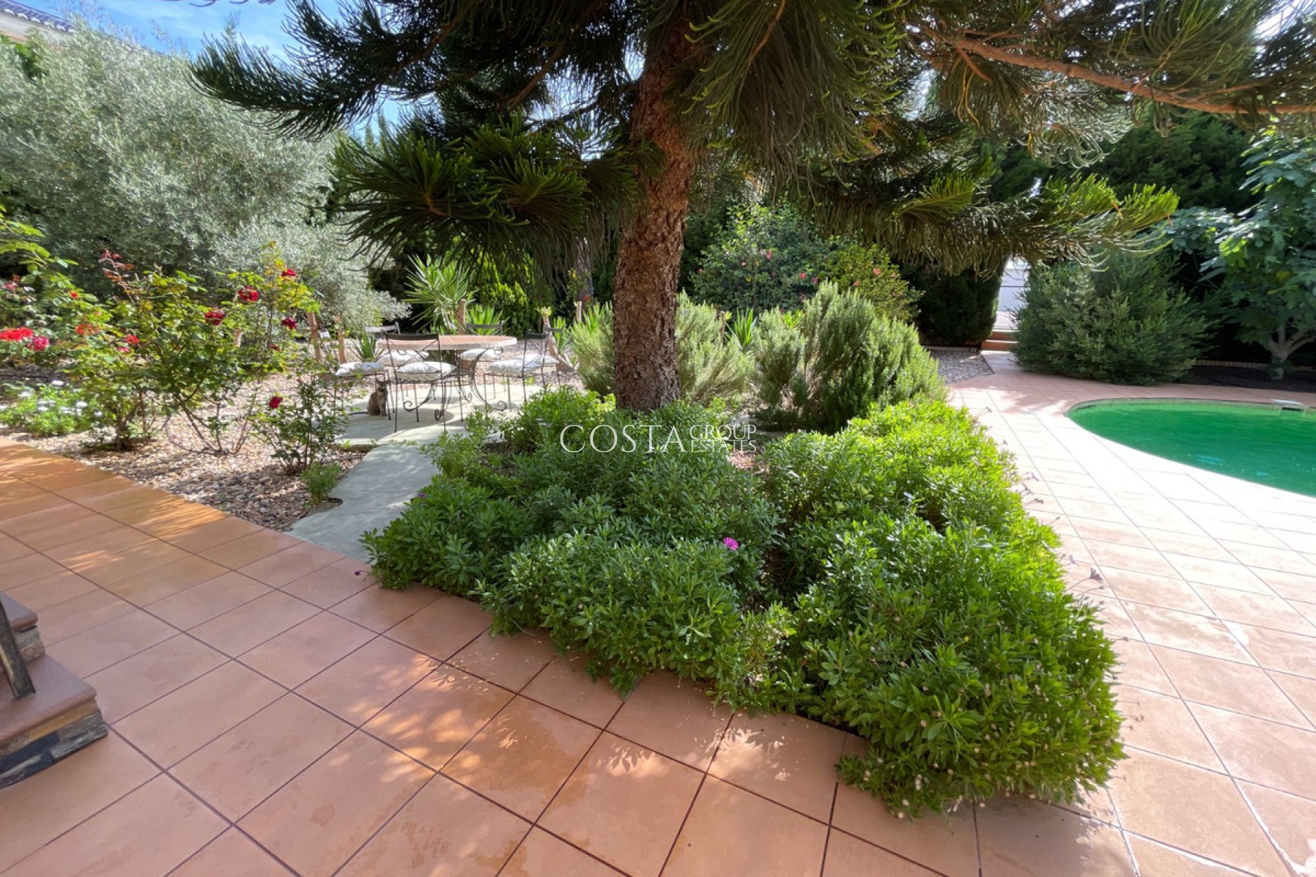 Odsprzedaż - Willa -
Rojales - Ciudad Quesada