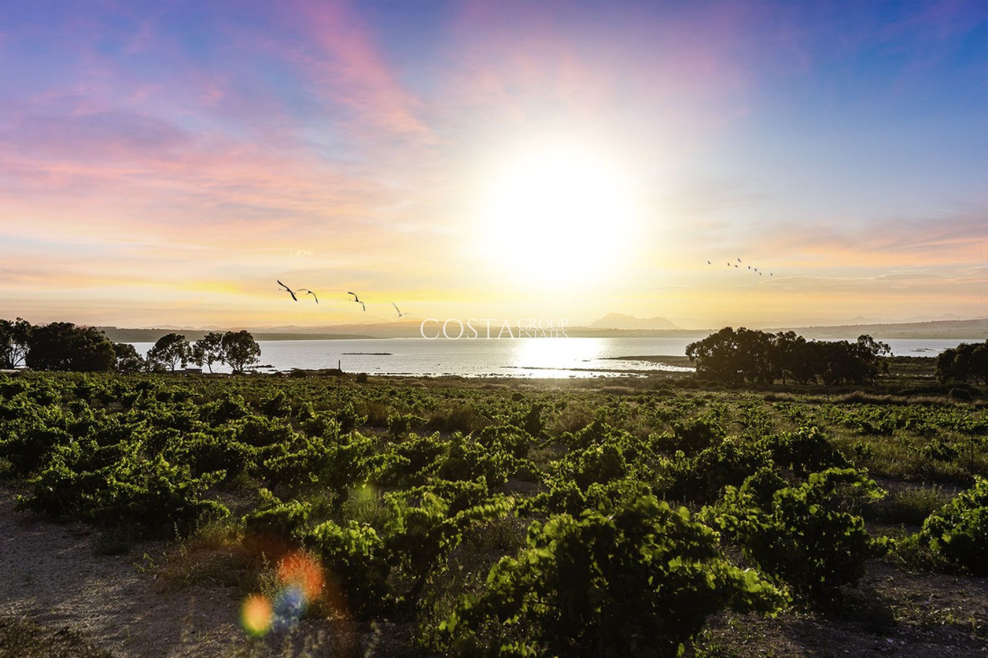 Odsprzedaż - Willa -
Rojales - Ciudad Quesada