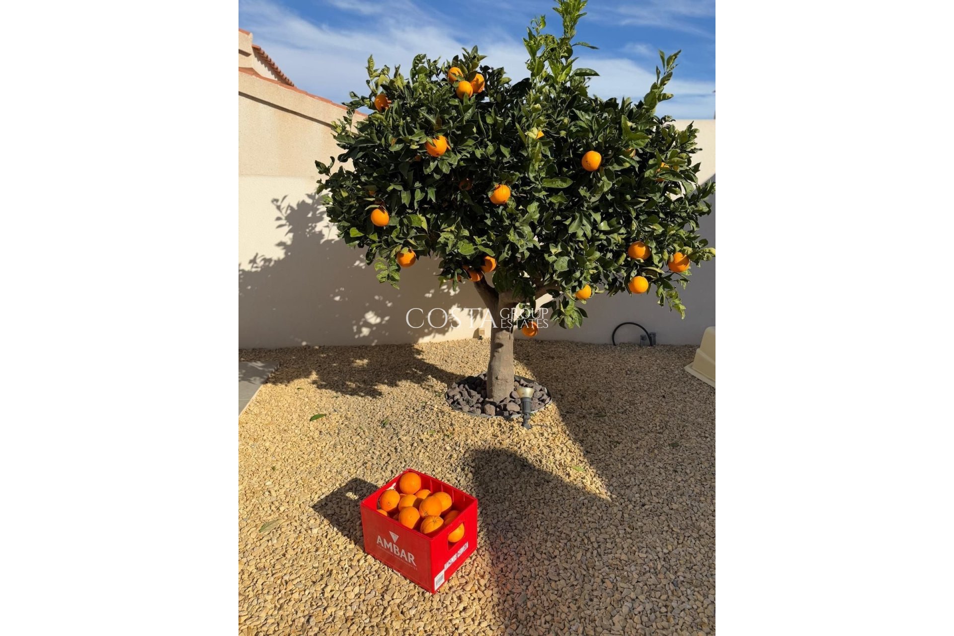 Odsprzedaż - Willa -
Rojales - Ciudad Quesada