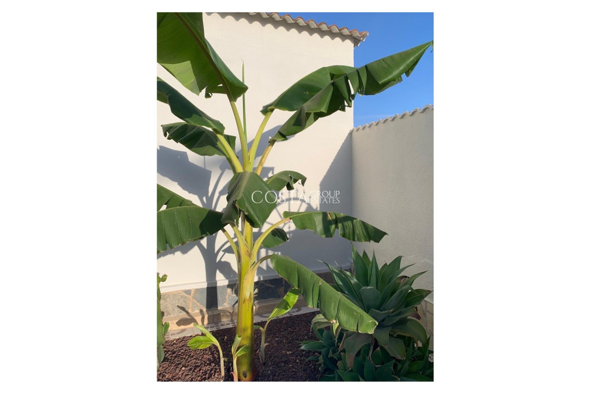 Odsprzedaż - Willa -
Rojales - Ciudad Quesada