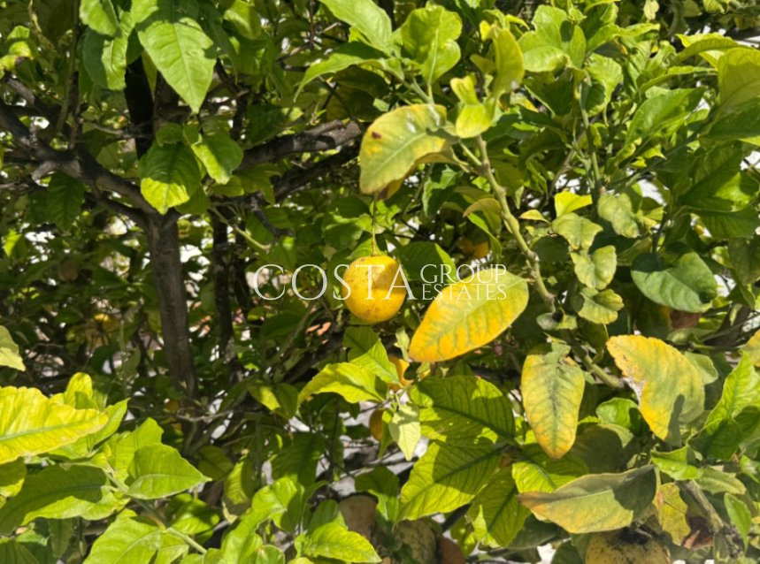 Odsprzedaż - Willa -
Torrevieja - Torrevieja Centro