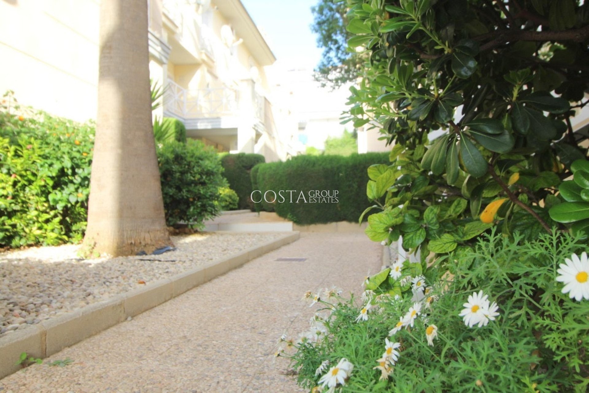 Resale - Apartments -
Torrevieja - La Veleta