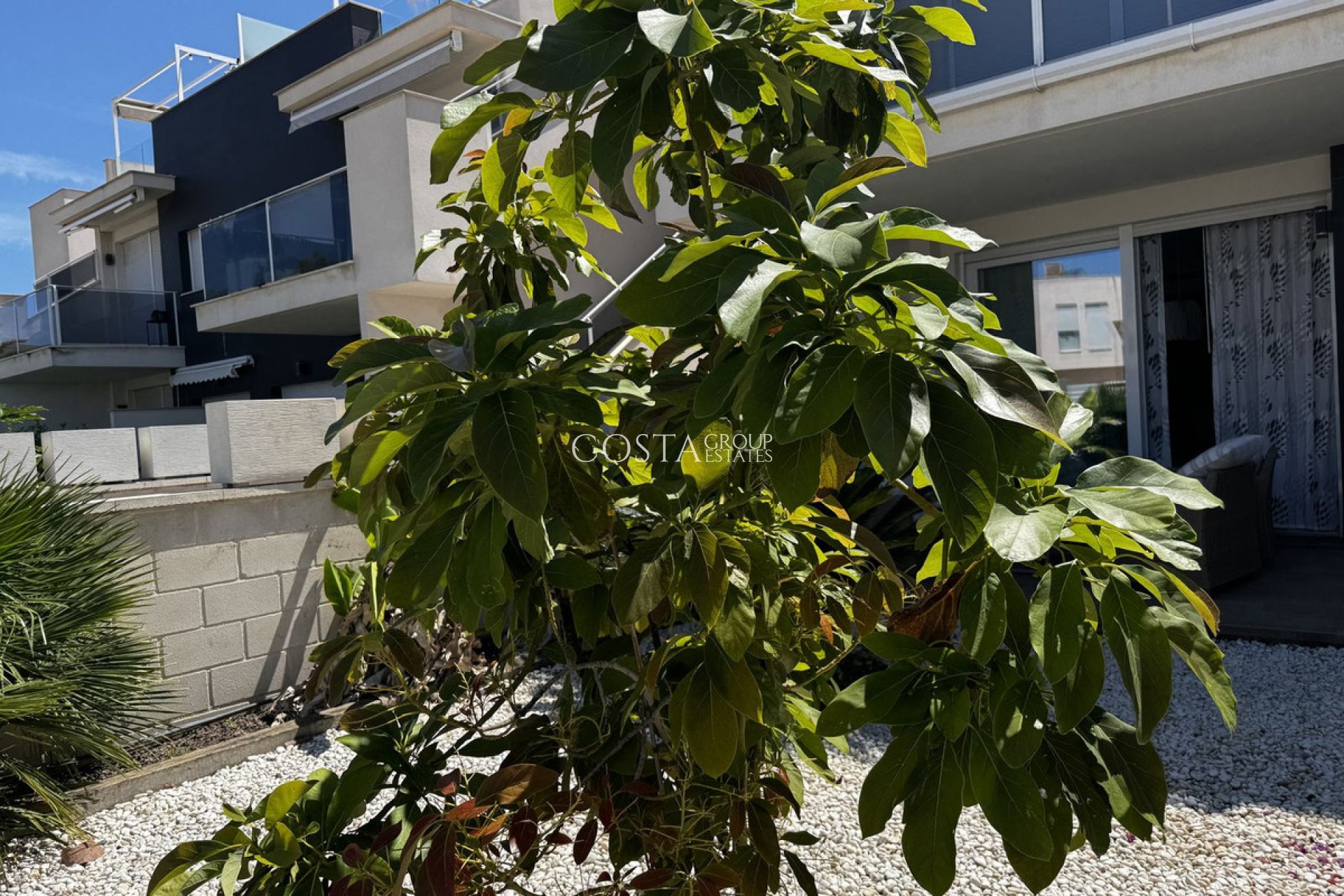 Resale - Apartments -
Torrevieja - Torrevieja Centro