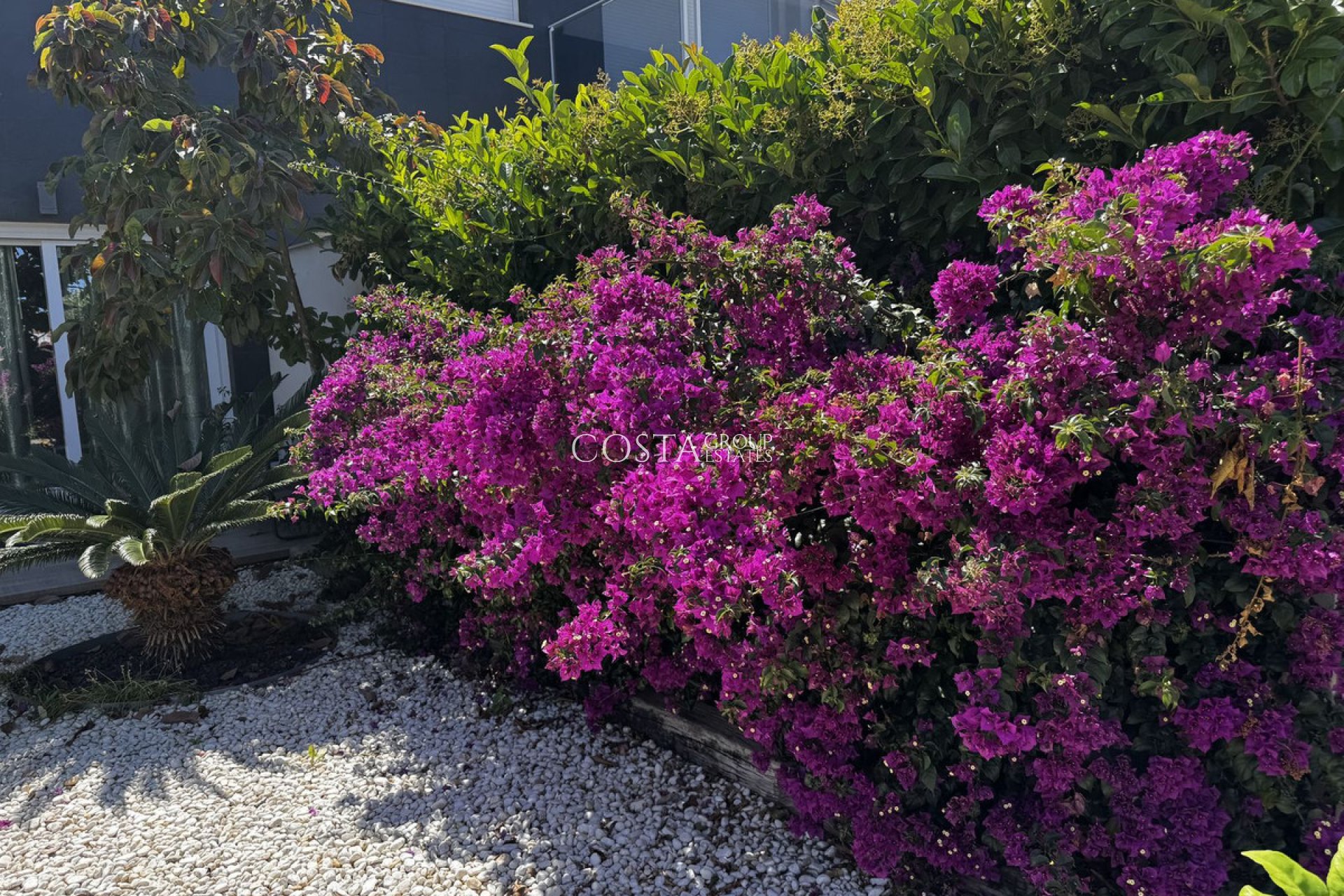 Resale - Apartments -
Torrevieja - Torrevieja Centro