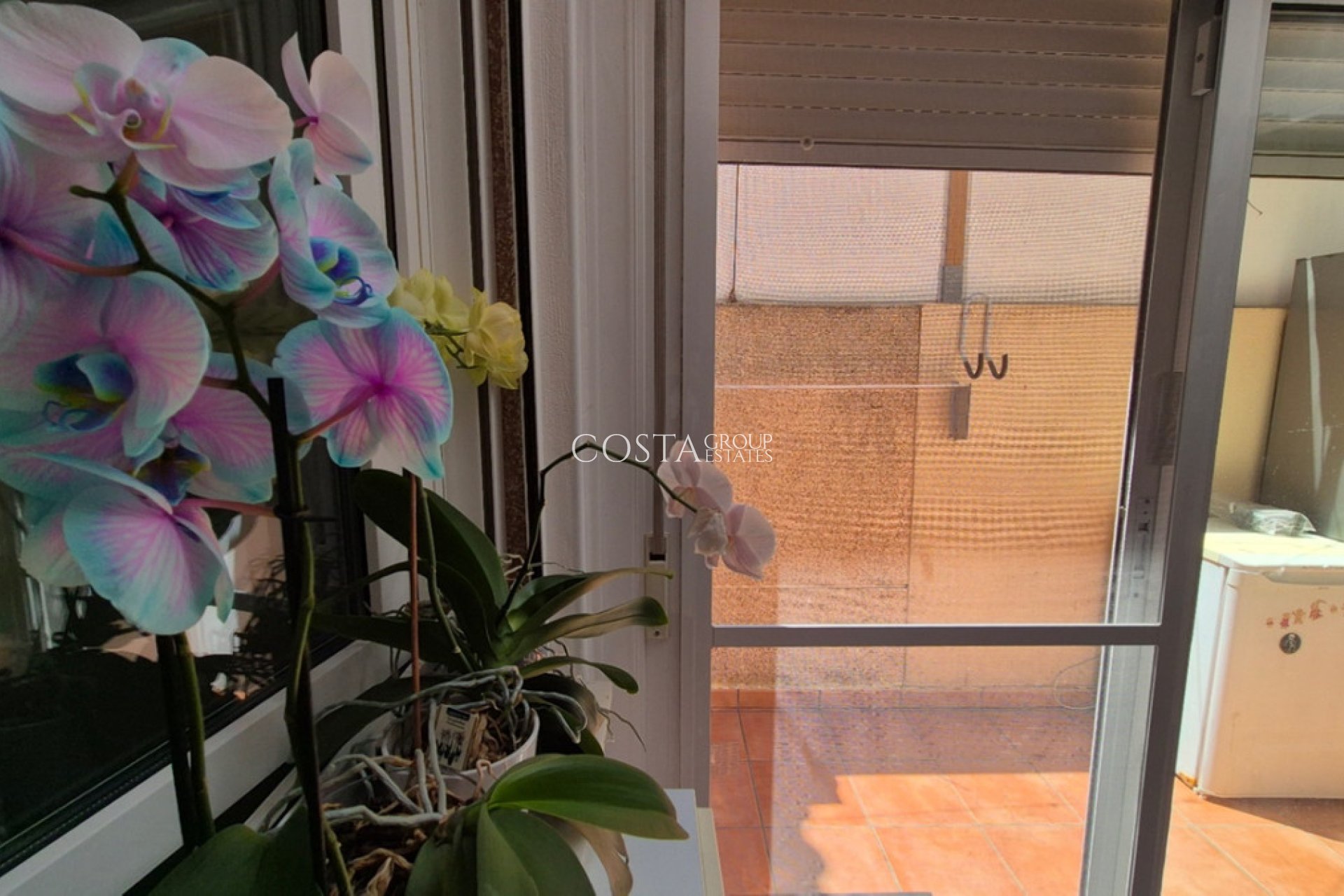 Resale - House -
Torrevieja - Torrevieja Centro