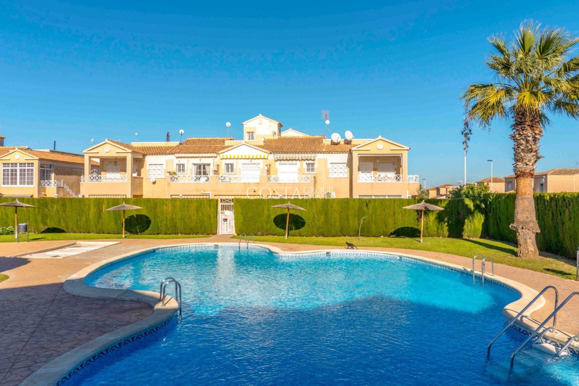 Resale - House -
Torrevieja - Torrevieja Centro