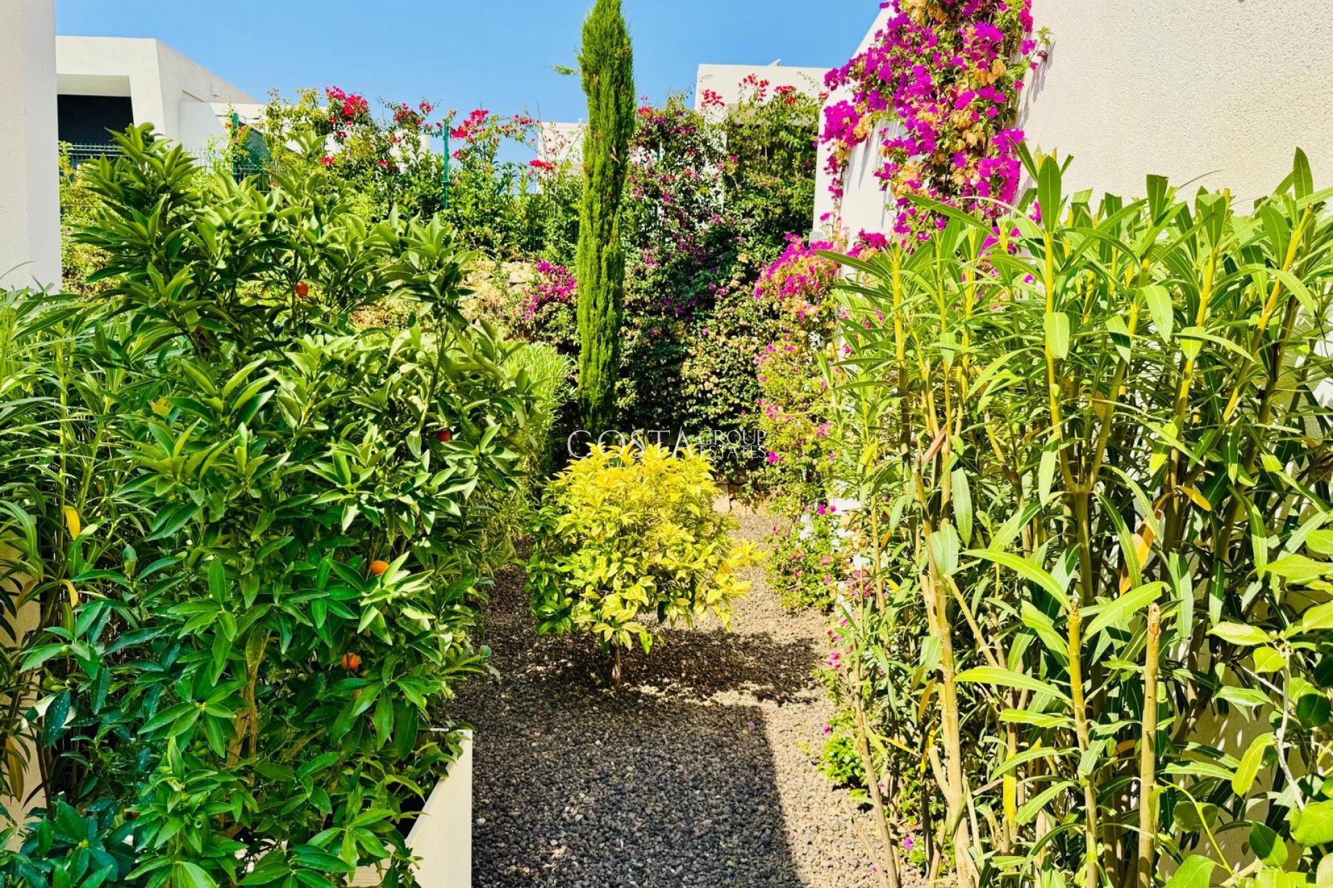 Resale - Villa -
Algorfa - La Finca Golf