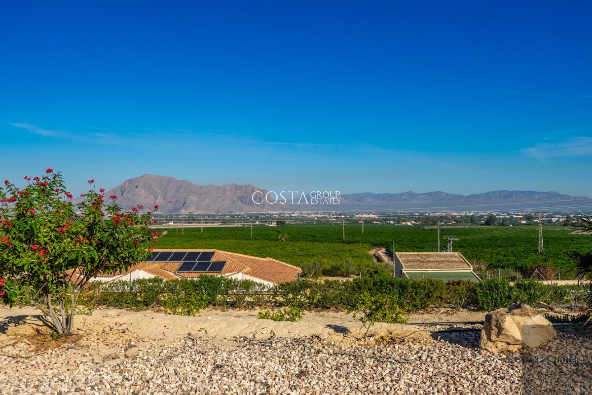 Resale - Villa -
Benejúzar - Benejuzar Centro