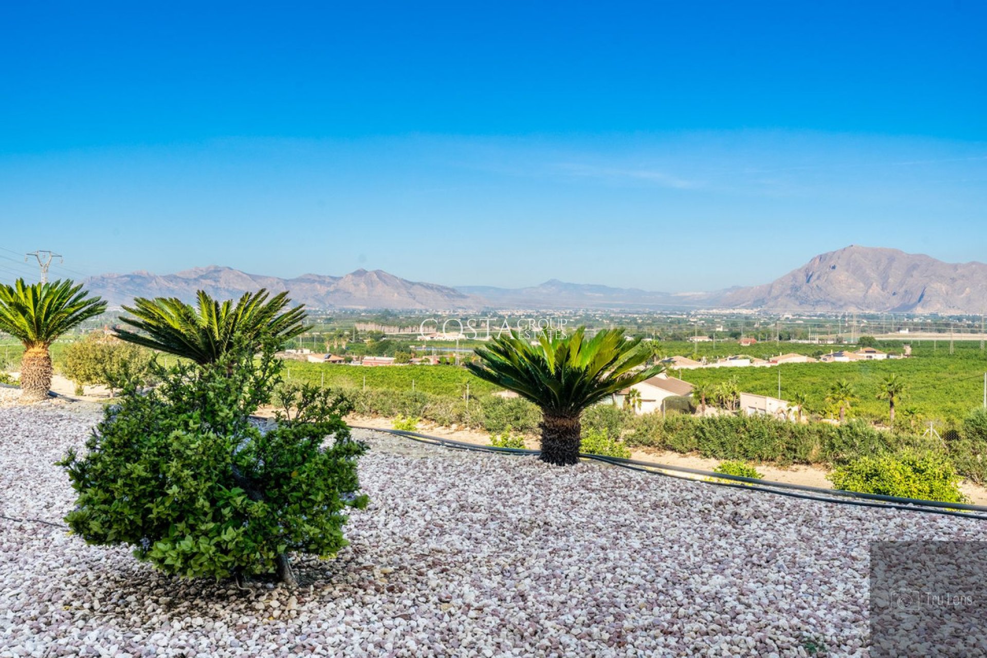 Resale - Villa -
Benejúzar - Benejuzar Centro