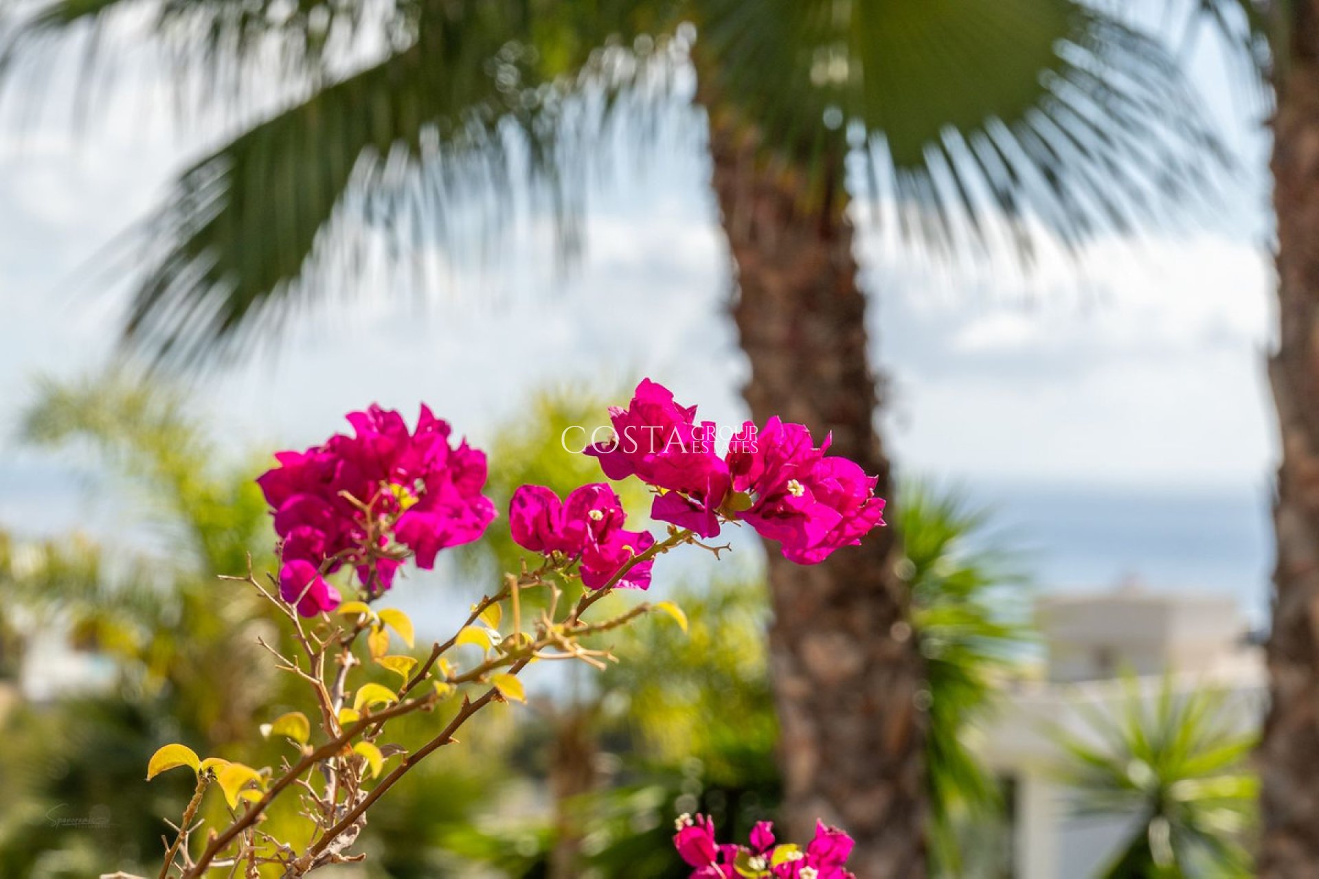 Resale - Villa -
Benissa - Benissa Coast