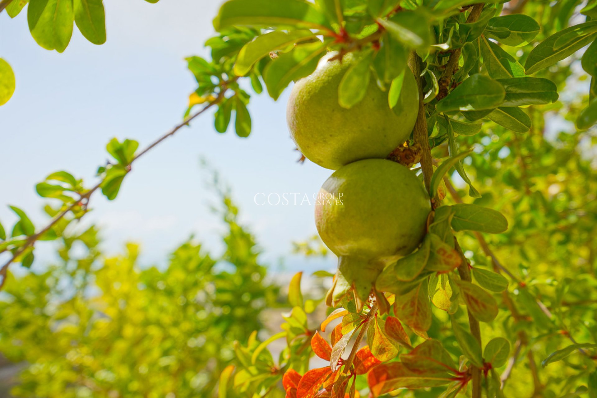 Resale - Villa -
Benitachell - Benitachell Centro