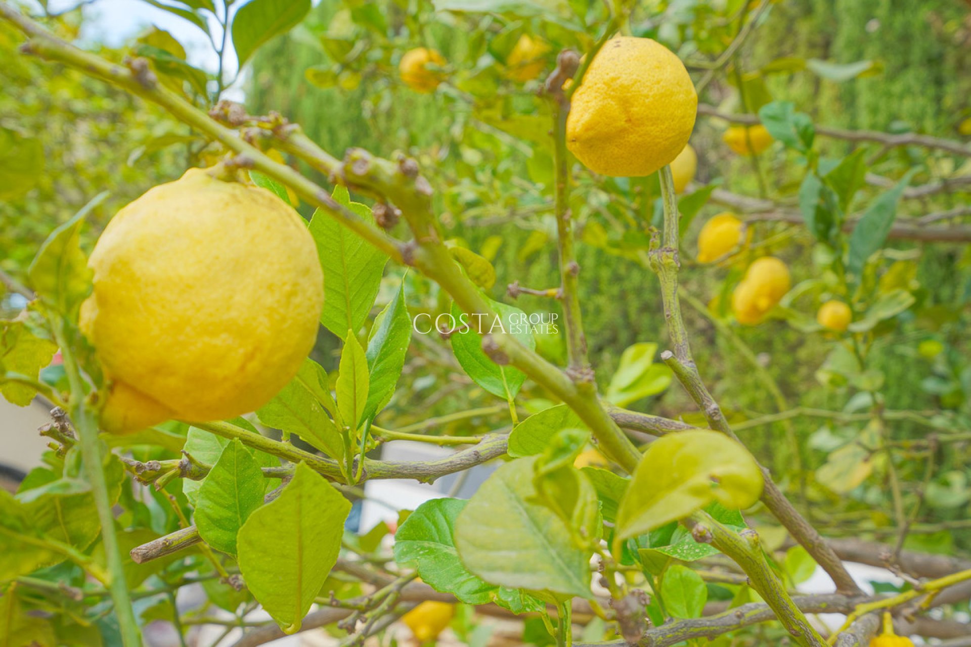 Resale - Villa -
Benitachell - Benitachell Centro