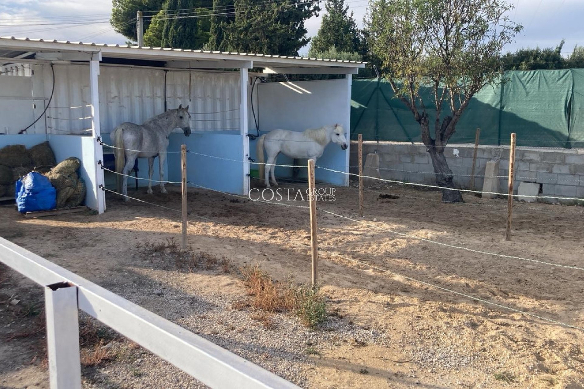 Resale - Villa -
Crevillente - Crevillent - Crevillente - Crevillent Centro