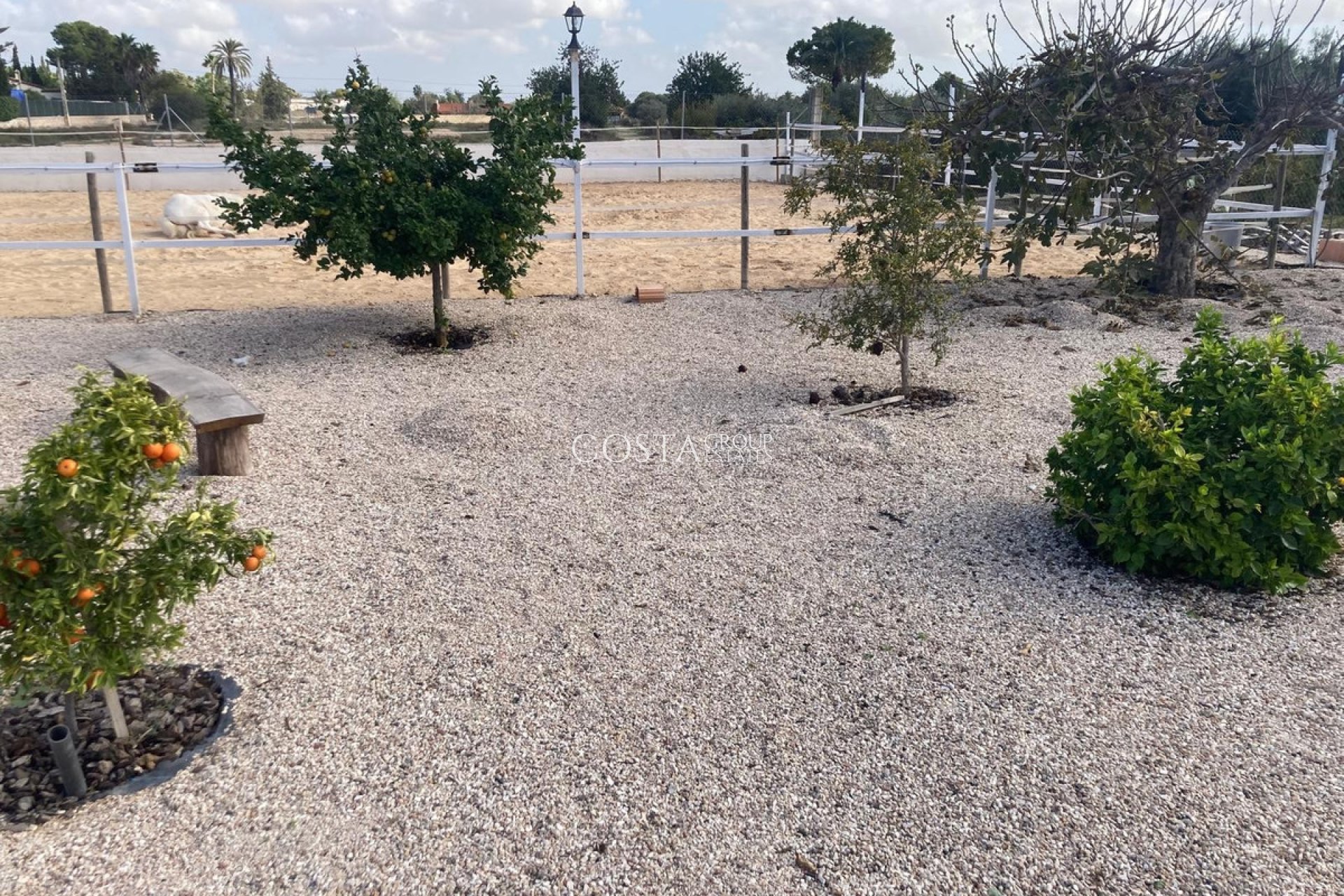 Resale - Villa -
Crevillente - Crevillent - Crevillente - Crevillent Centro