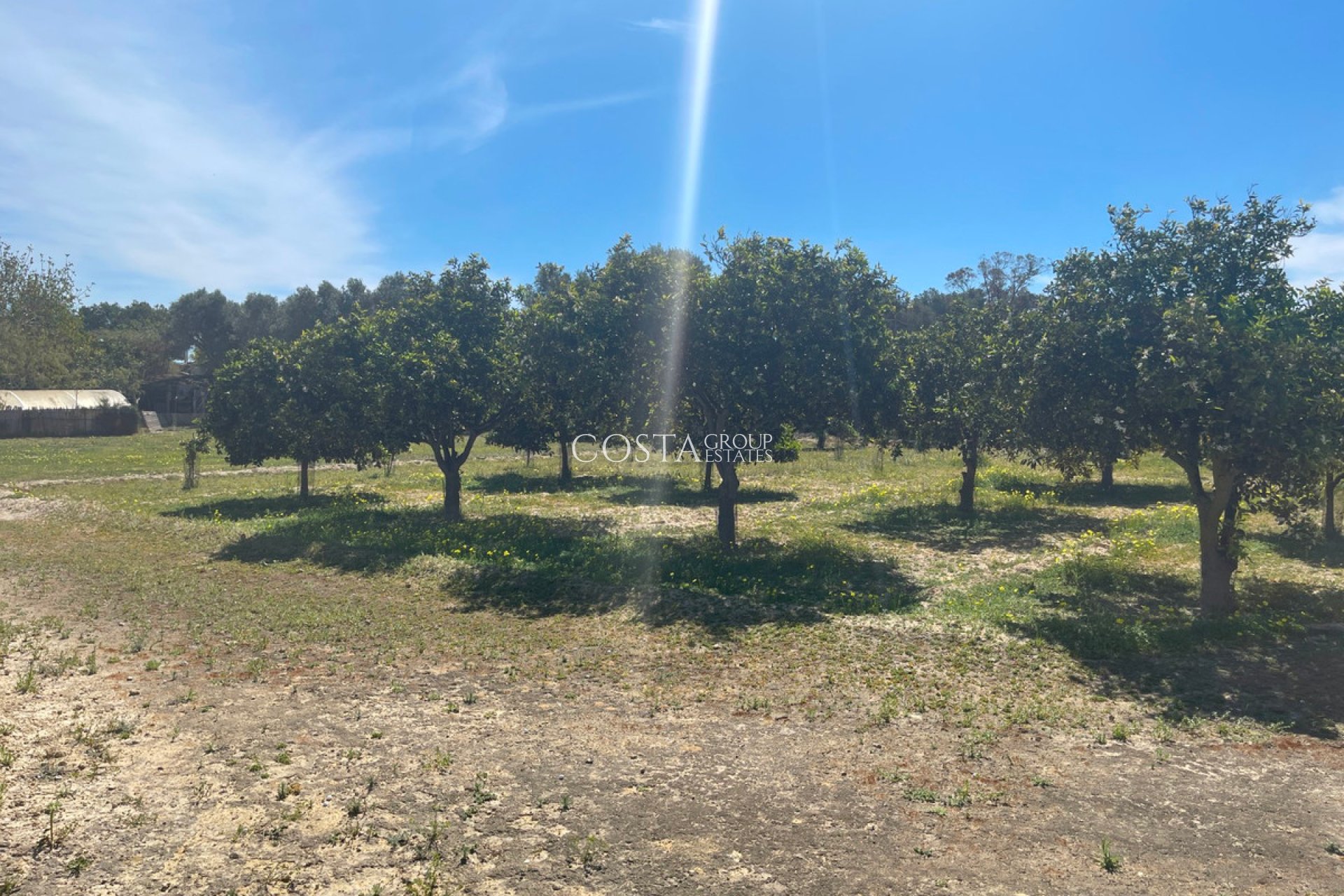 Resale - Villa -
Guardamar del Segura - Guardamar del Segura Centro