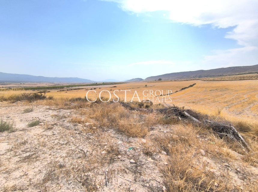 Resale - Villa -
Jumilla - Jumilla Centro