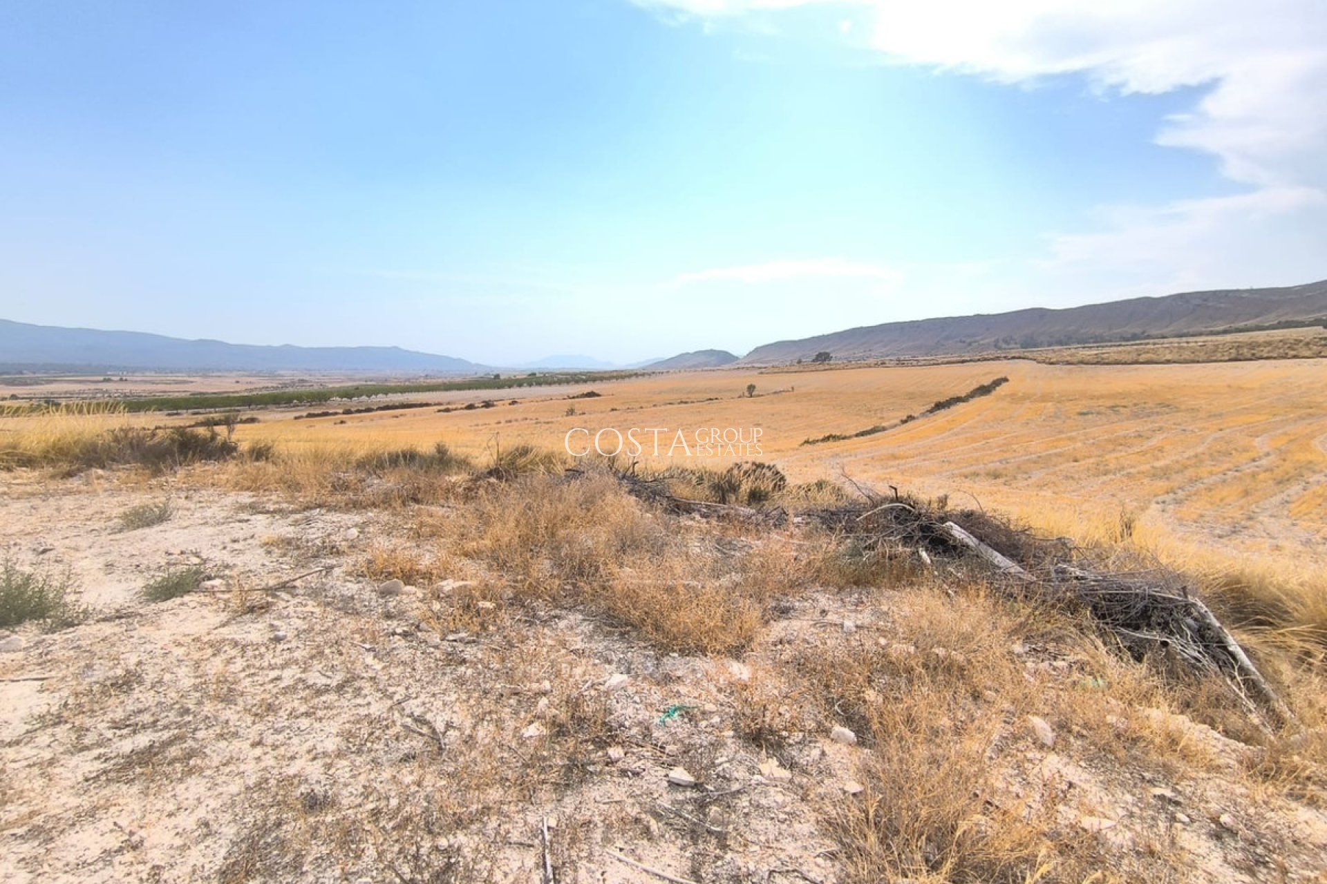 Resale - Villa -
Jumilla - Jumilla Centro