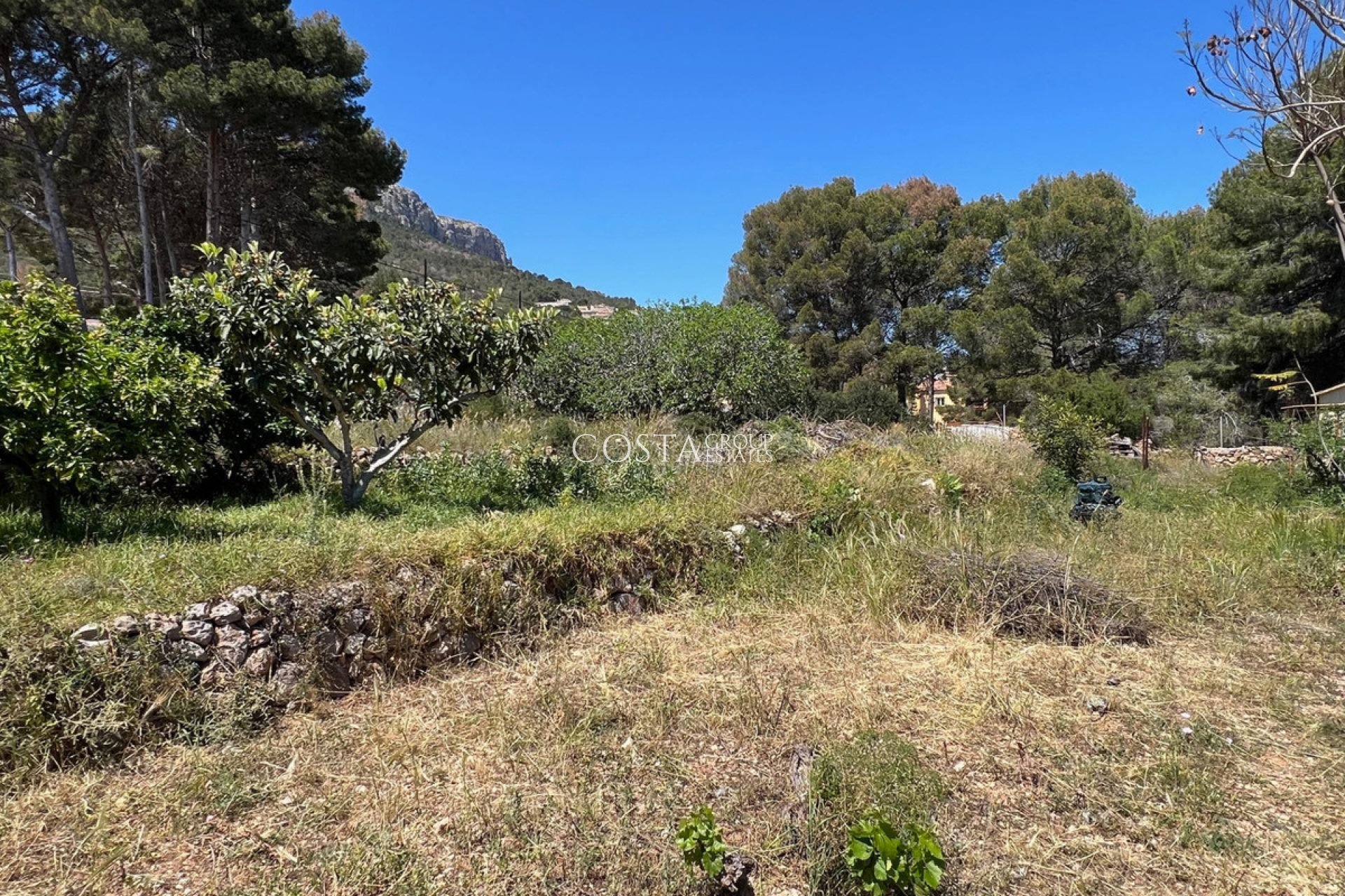 Resale - Villa -
Novelda - Estación