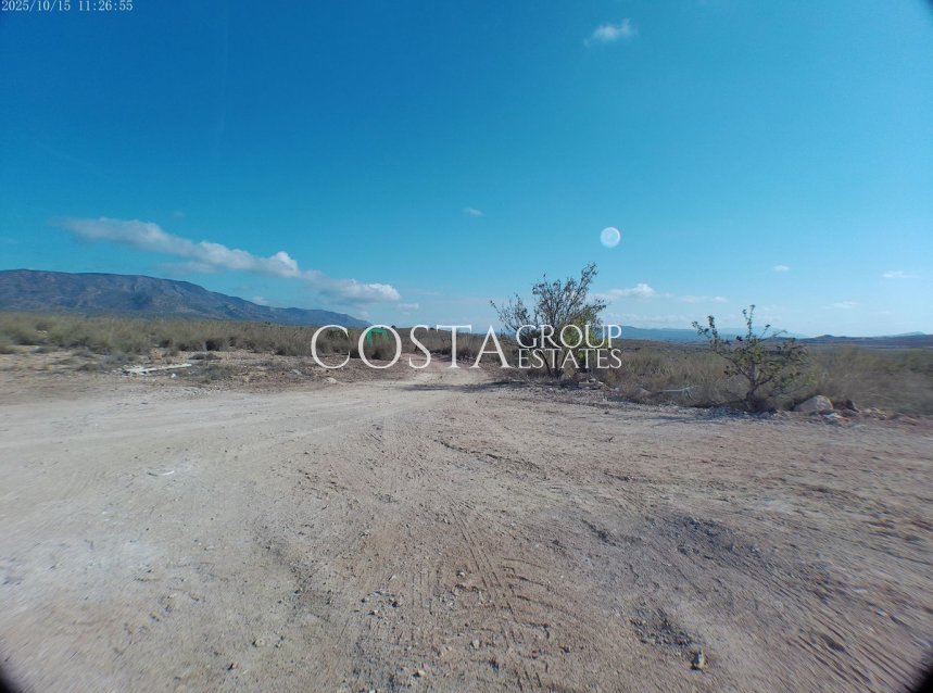 Resale - Villa -
Pinoso - Pinoso Centro