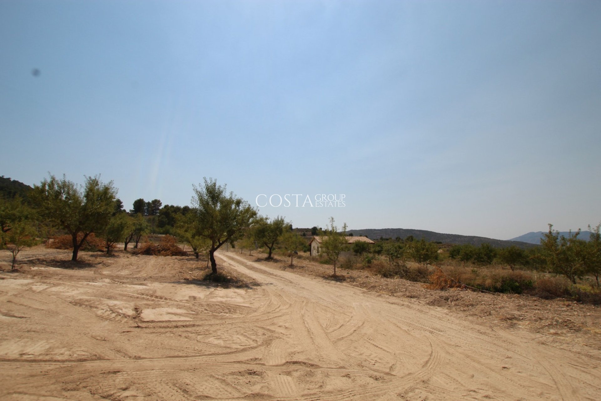 Resale - Villa -
Pinoso - Pinoso Centro