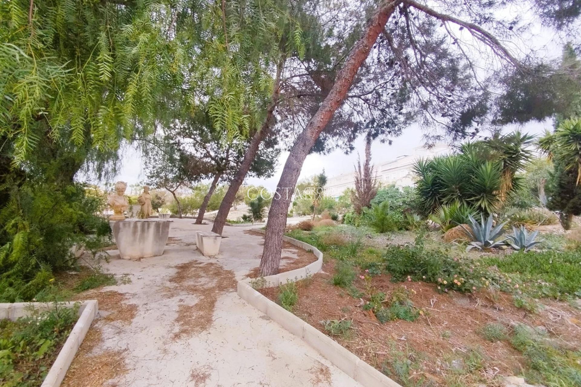 Resale - Villa -
San Miguel de Salinas - San Miguel de Salinas Centro