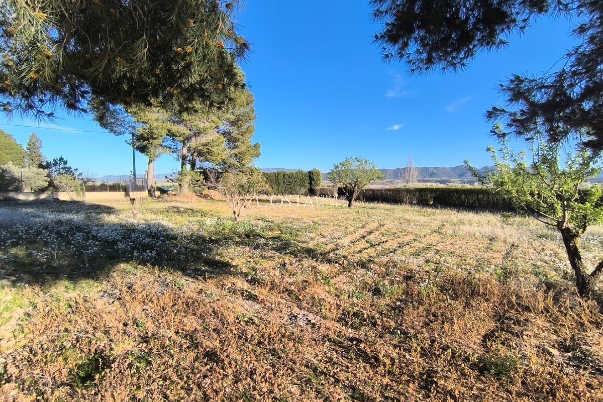 Resale - Villa -
Yecla - Yecla Centro