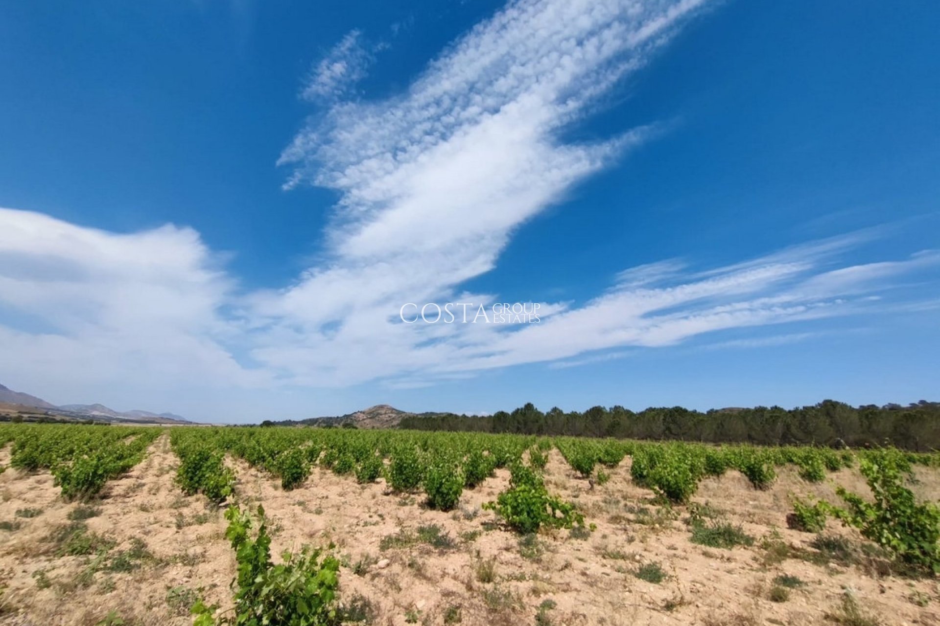 Resale - Villa -
Yecla - Yecla Centro