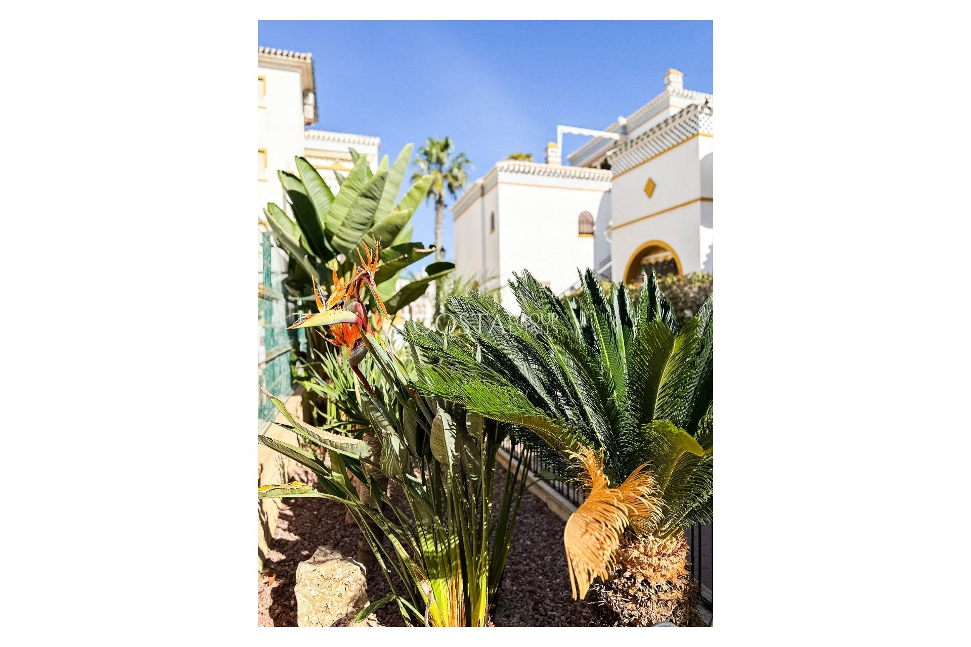 Revente - Apartments -
Torrevieja - La Mata