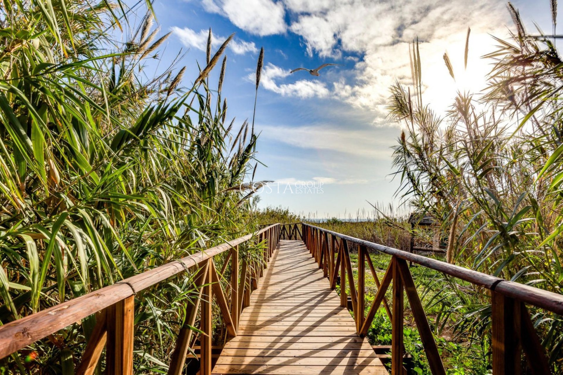 Revente - Apartments -
Torrevieja - La Mata