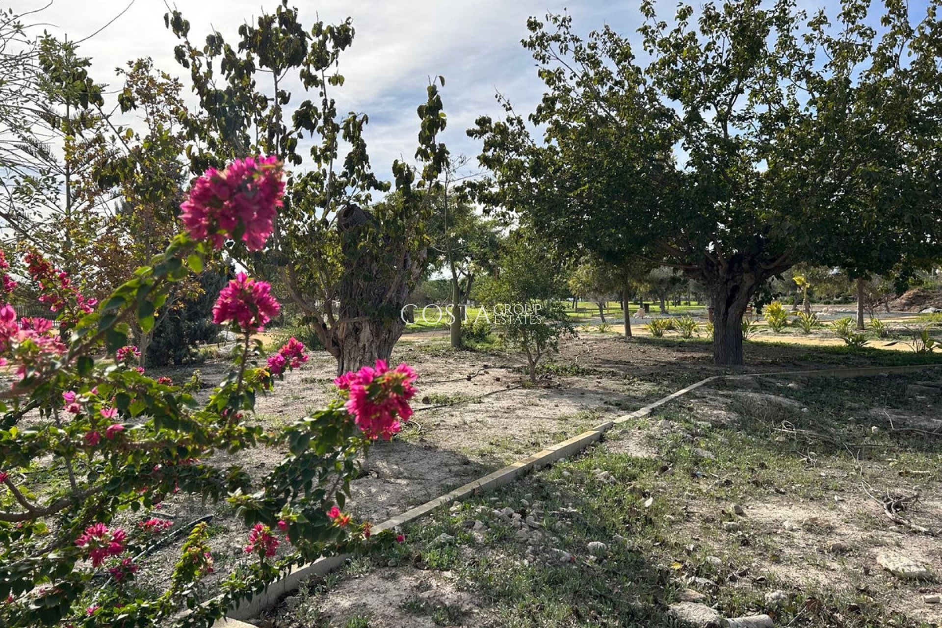 Revente - Maison -
Dolores - Dolores Centro