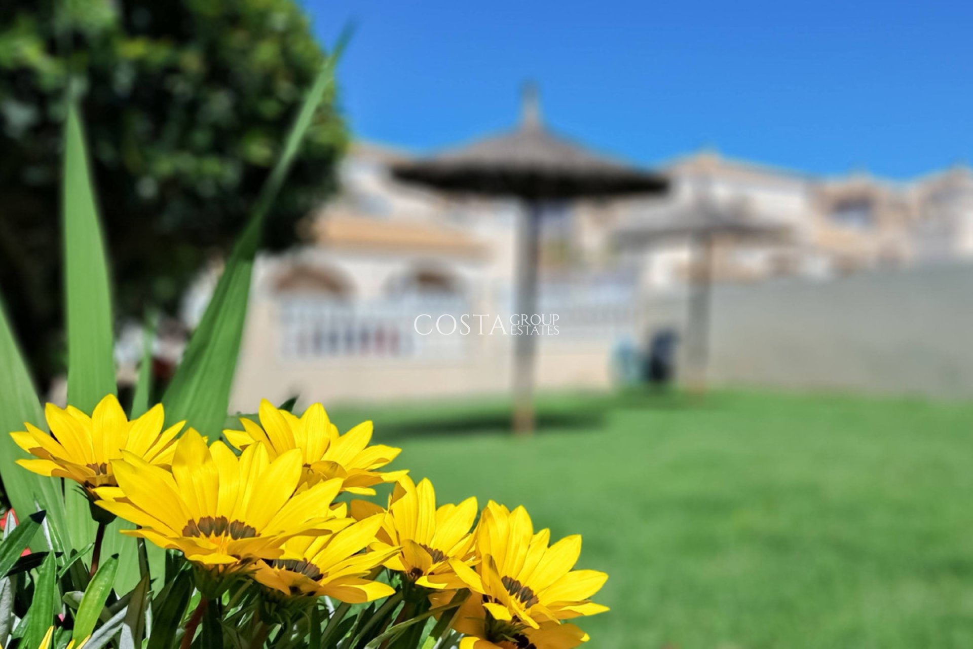 Revente - Maison -
Torrevieja - Torrevieja Centro