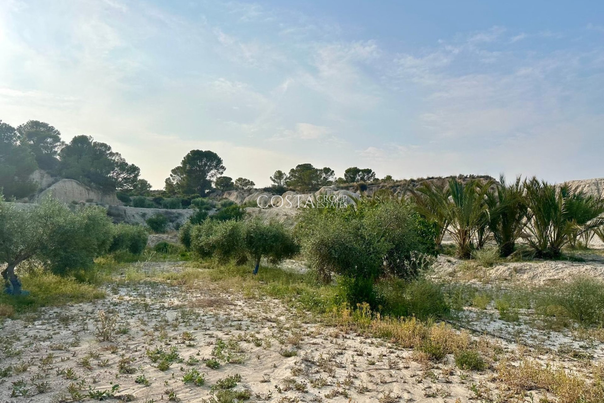 Revente - Villa -
Abanilla - Abanilla Centro