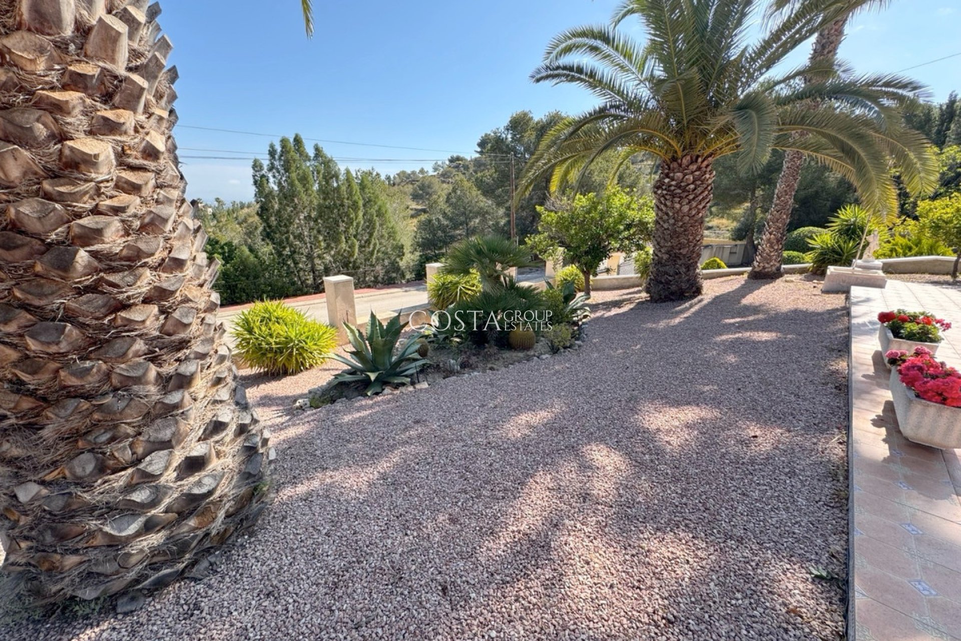 Revente - Villa -
Algorfa - Algorfa Centro