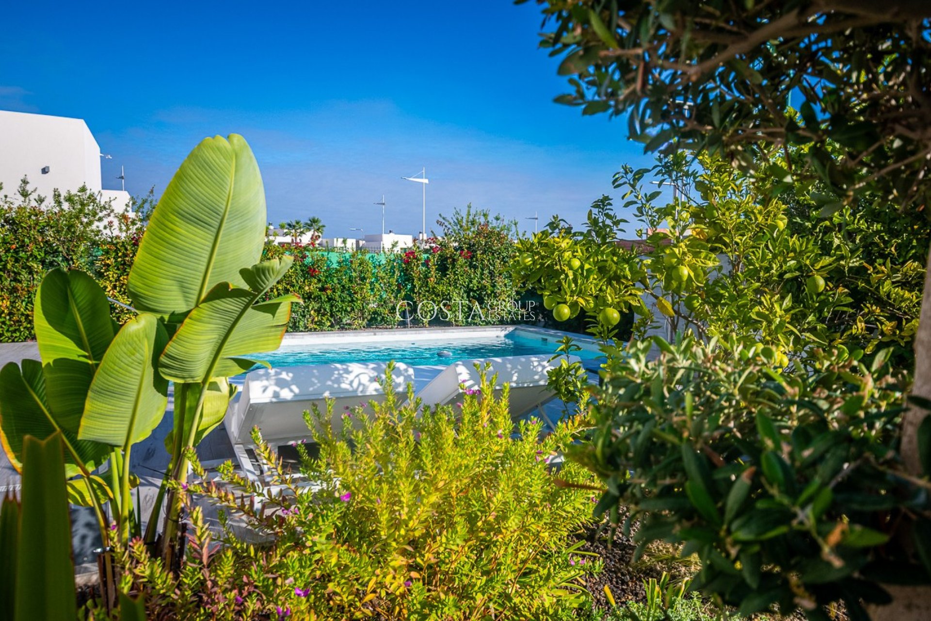 Revente - Villa -
Algorfa - Algorfa Centro