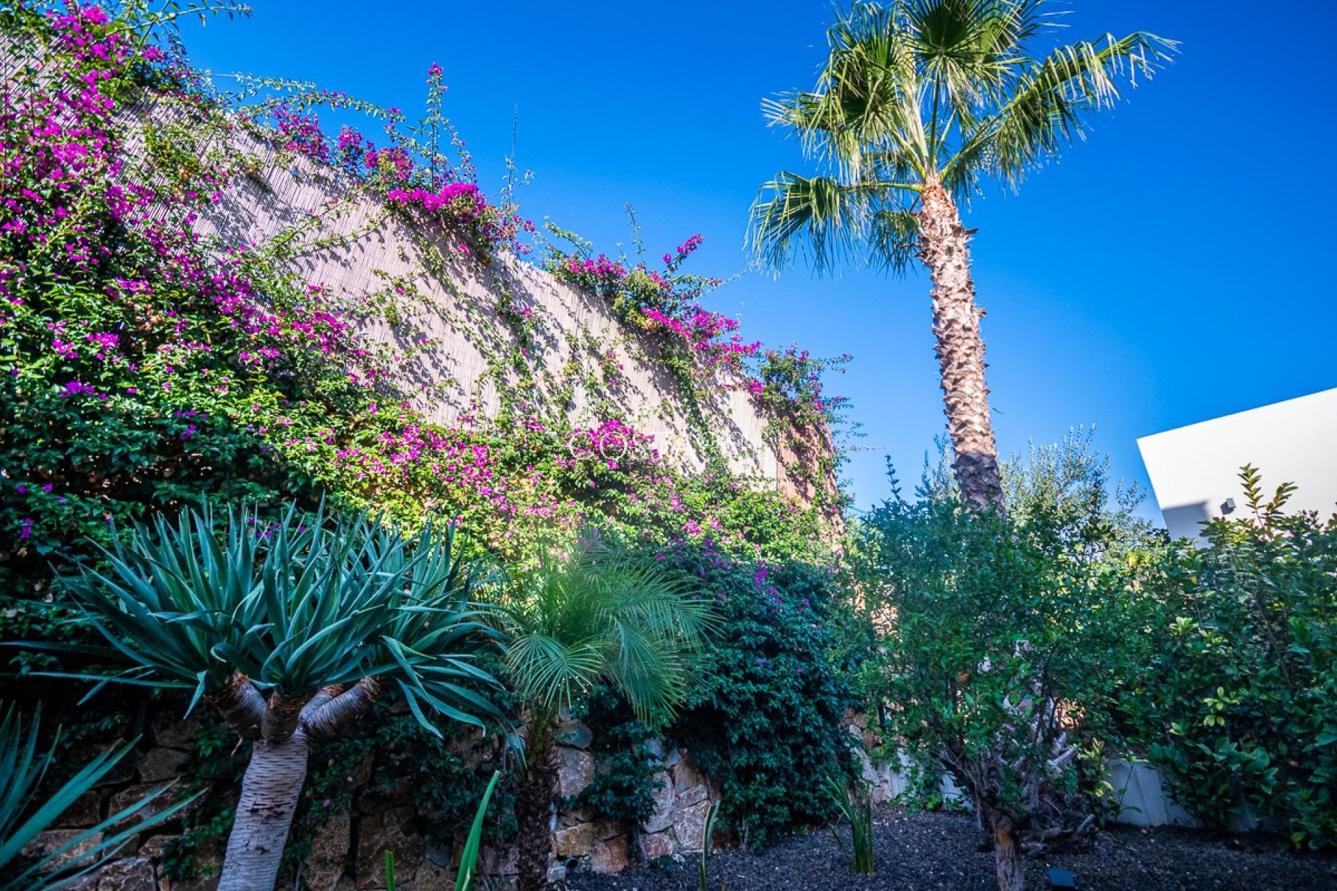 Revente - Villa -
Algorfa - Algorfa Centro