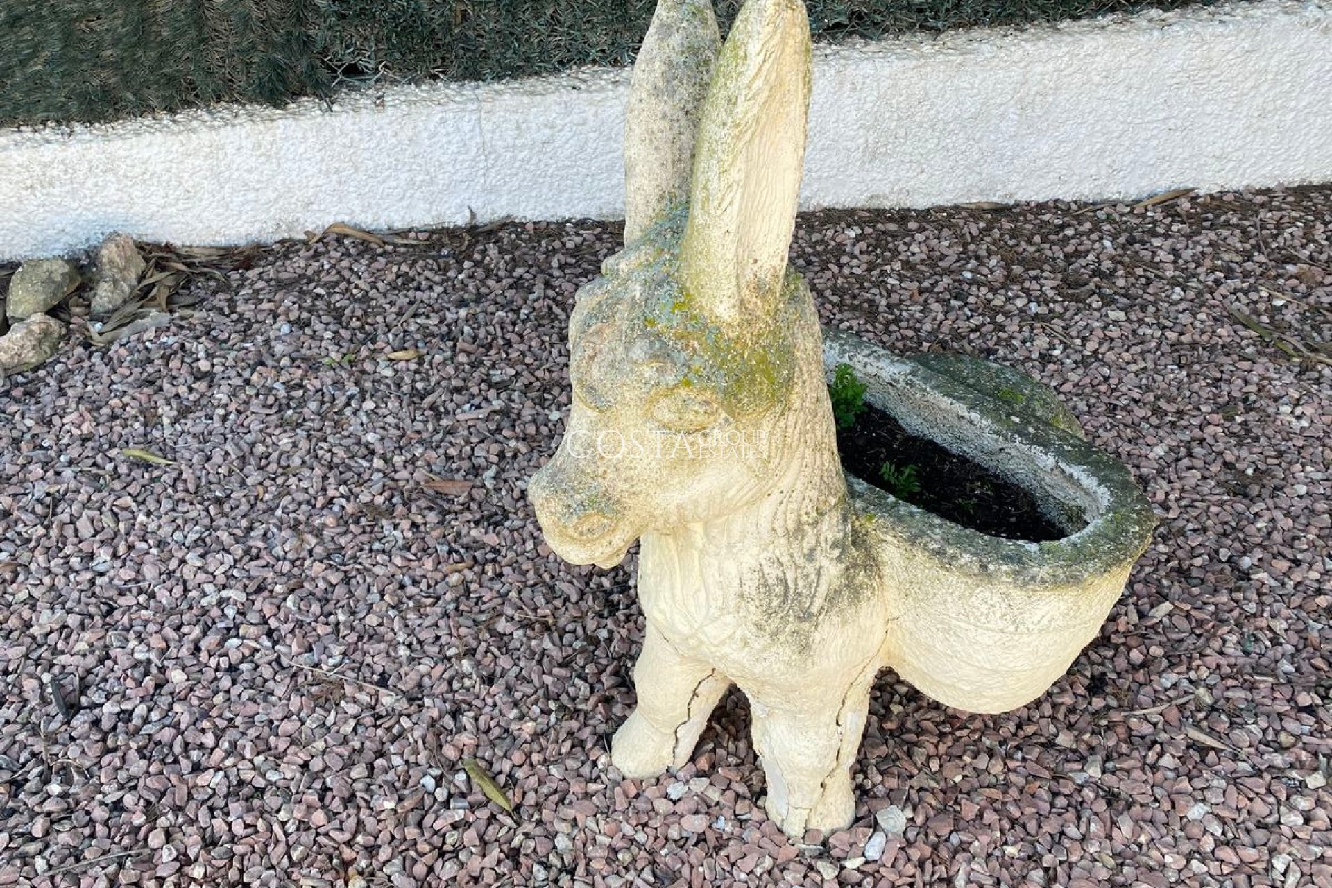 Revente - Villa -
Algorfa