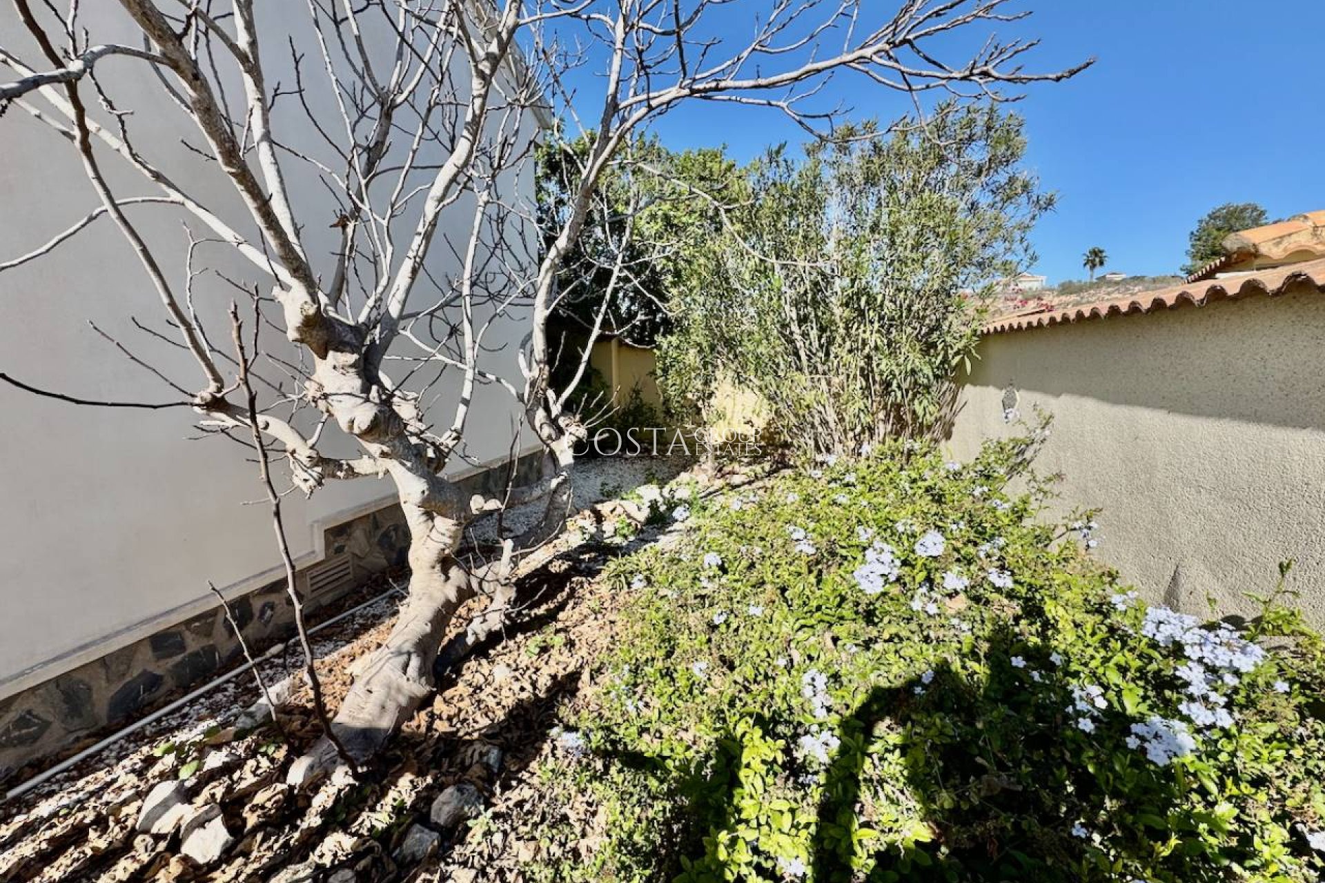 Revente - Villa -
Ciudad Quesada - Lo Pepin