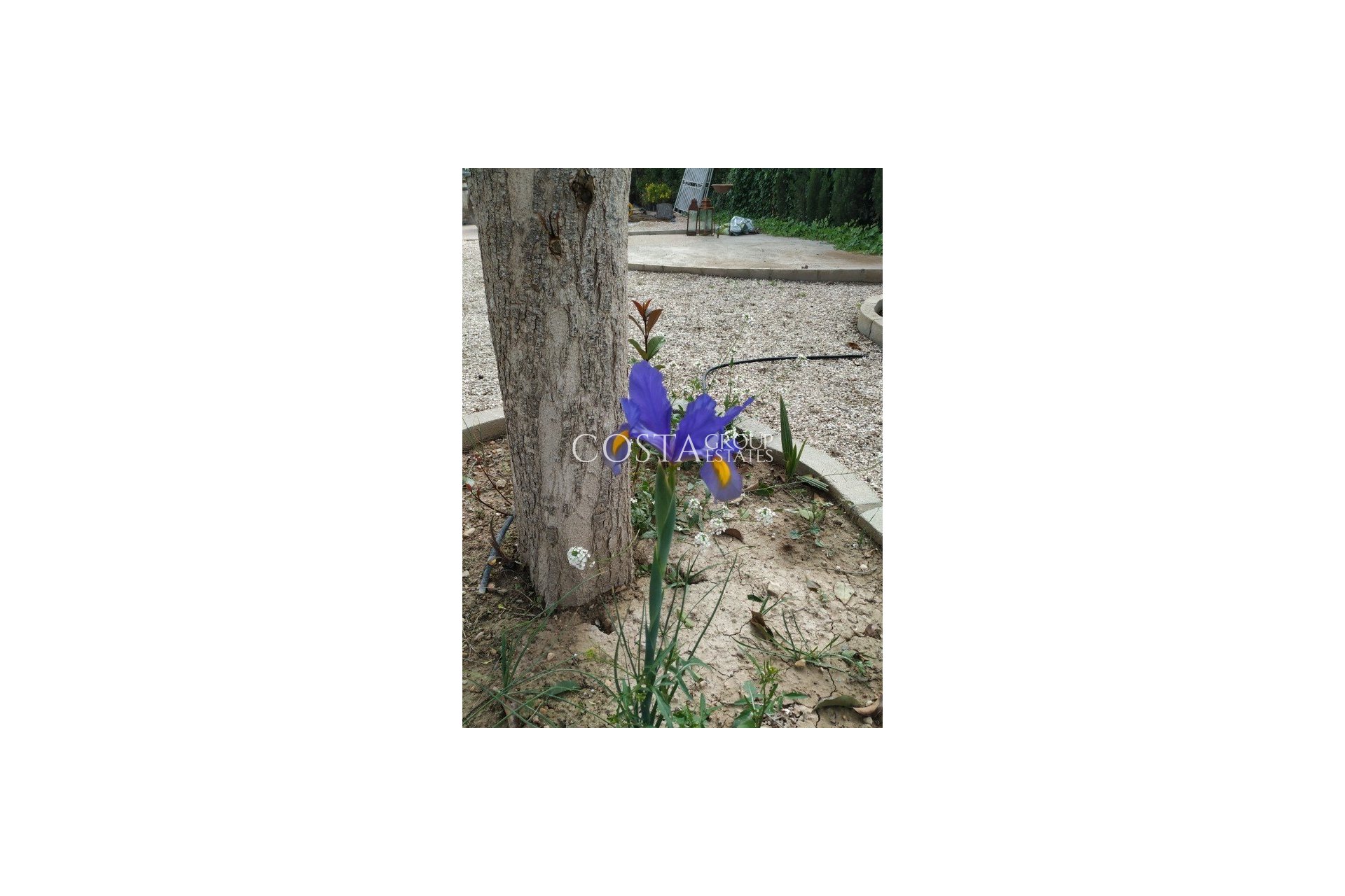 Revente - Villa -
Crevillente - Crevillent - Crevillente - Crevillent Centro