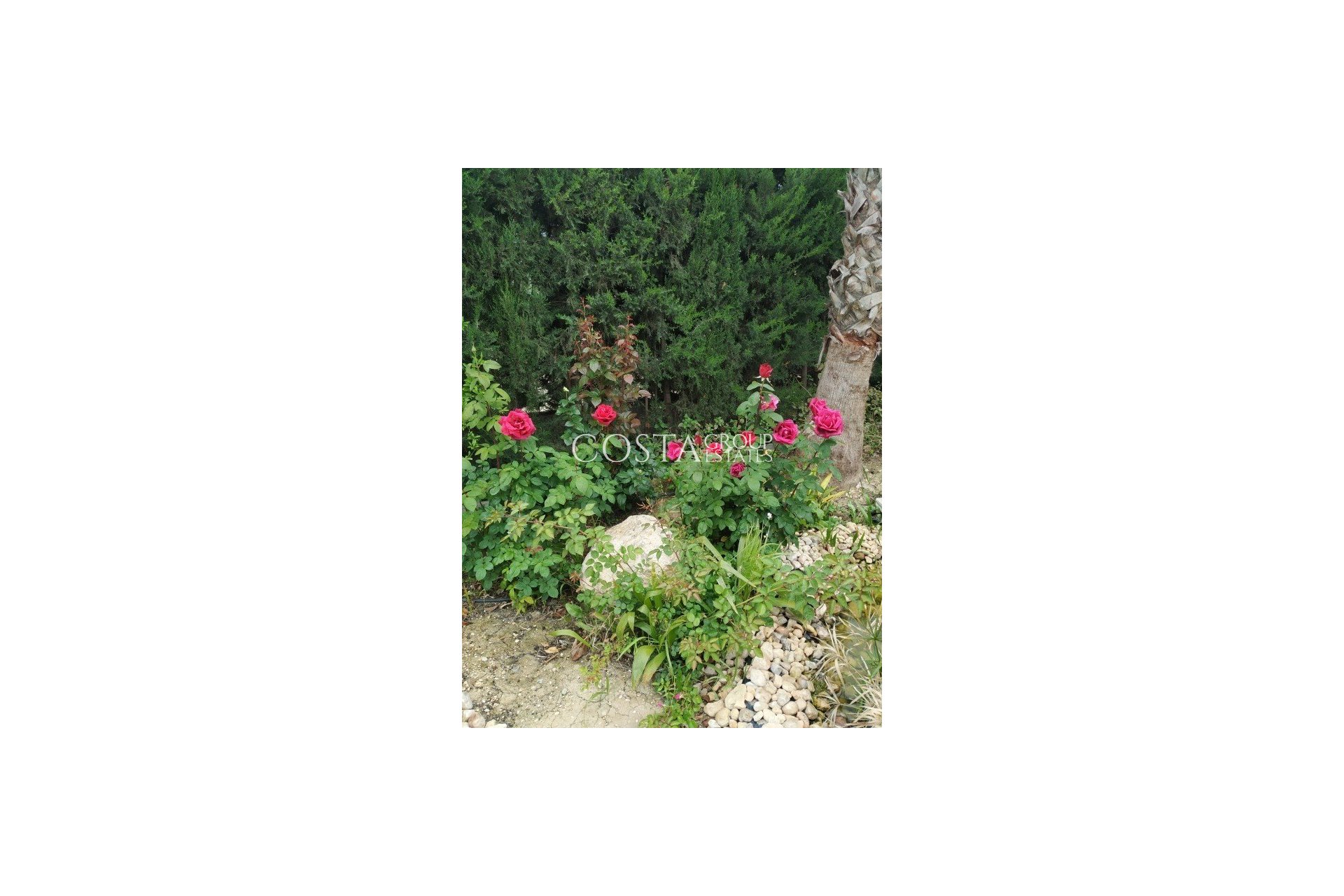 Revente - Villa -
Crevillente - Crevillent - Crevillente - Crevillent Centro