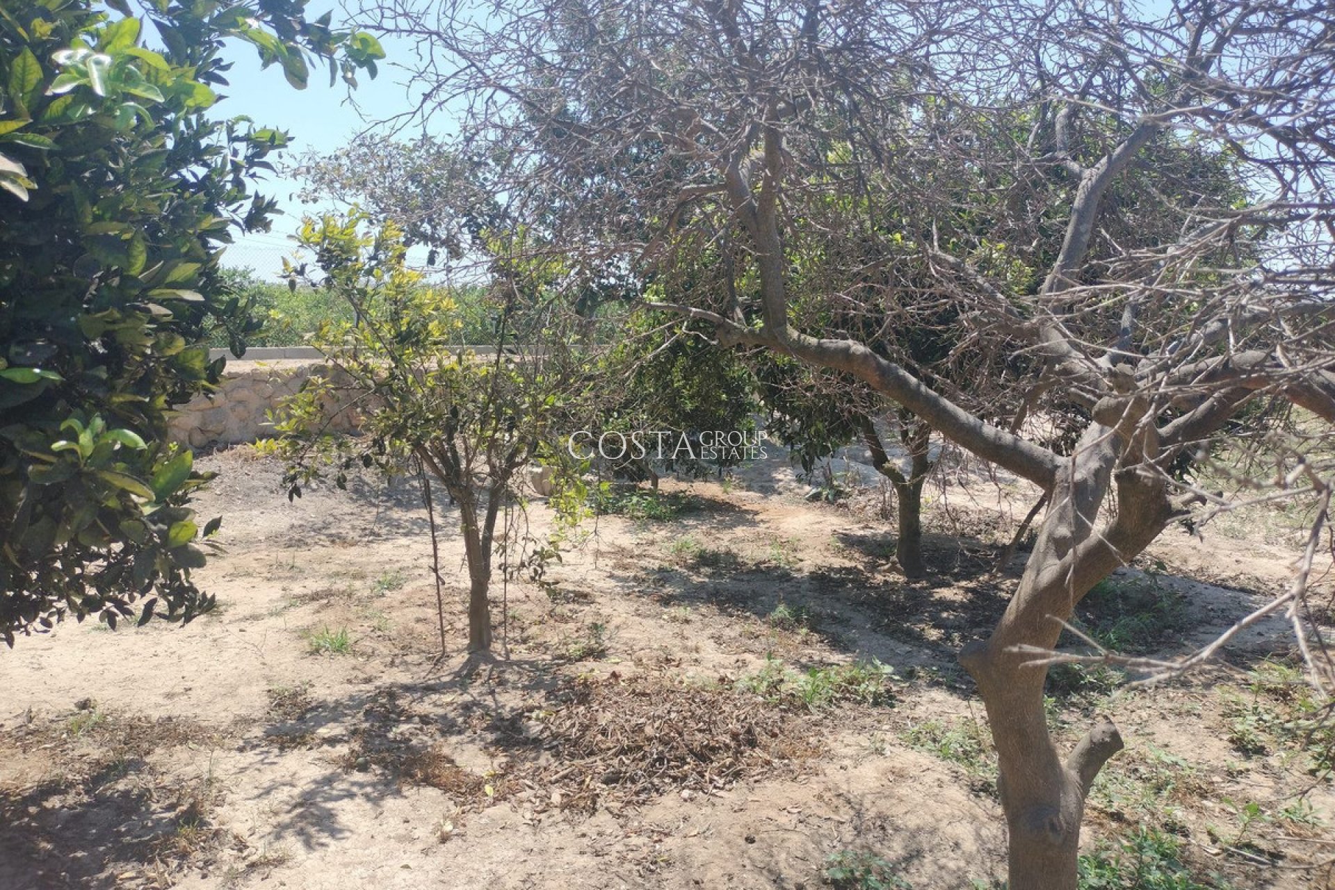 Revente - Villa -
Daya Vieja - Daya Vieja Centro