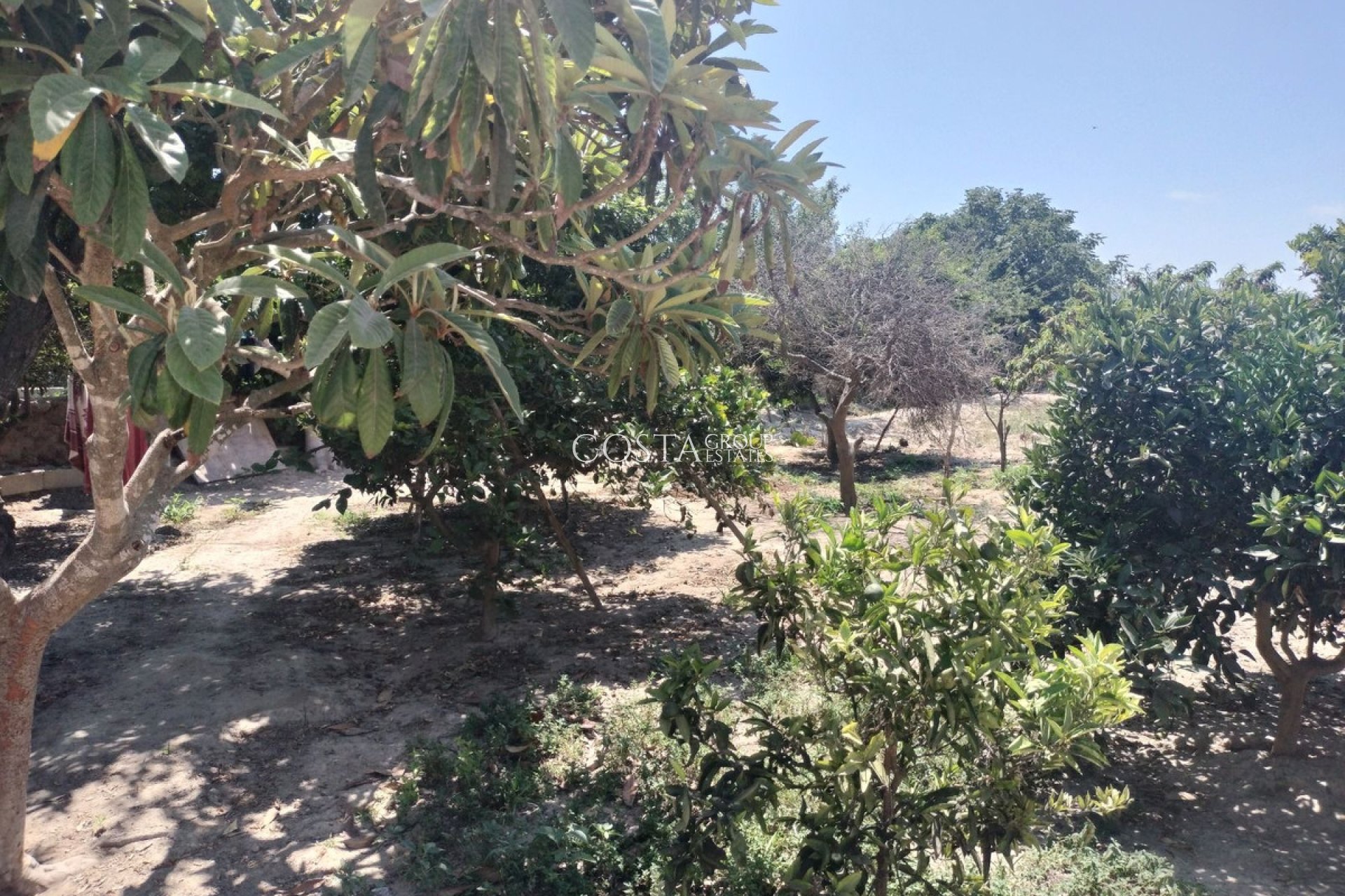 Revente - Villa -
Daya Vieja - Daya Vieja Centro