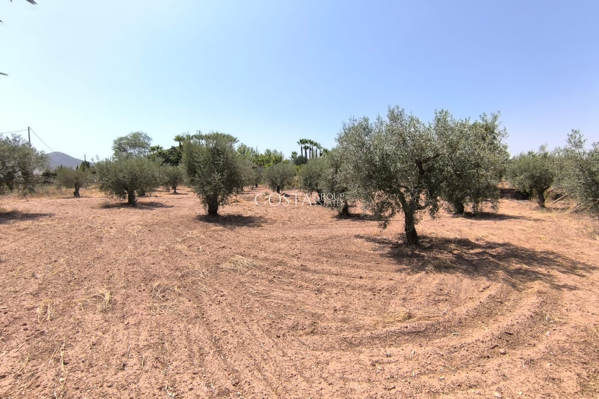 Revente - Villa -
Jumilla - Jumilla Centro