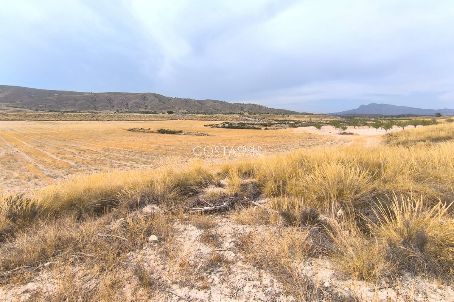 Revente - Villa -
Jumilla - Jumilla Centro