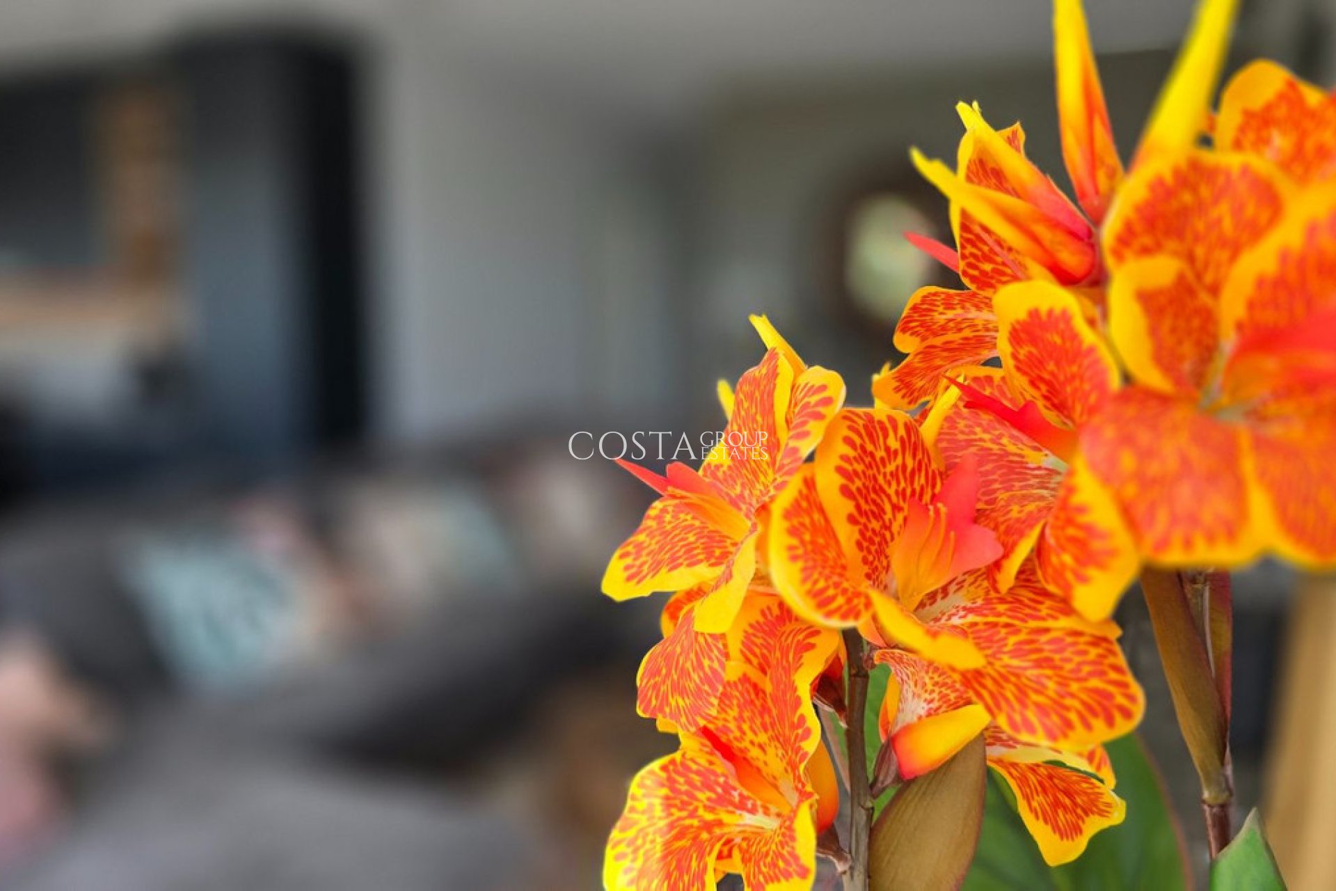 Revente - Villa -
Los Montesinos - Los Montesinos Centro