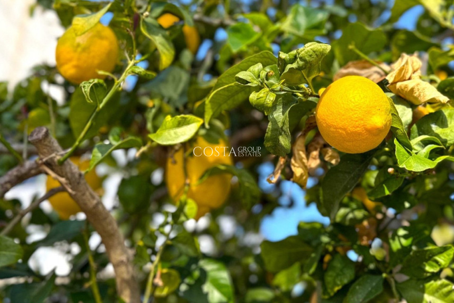 Revente - Villa -
Orihuela Costa - Villamartin