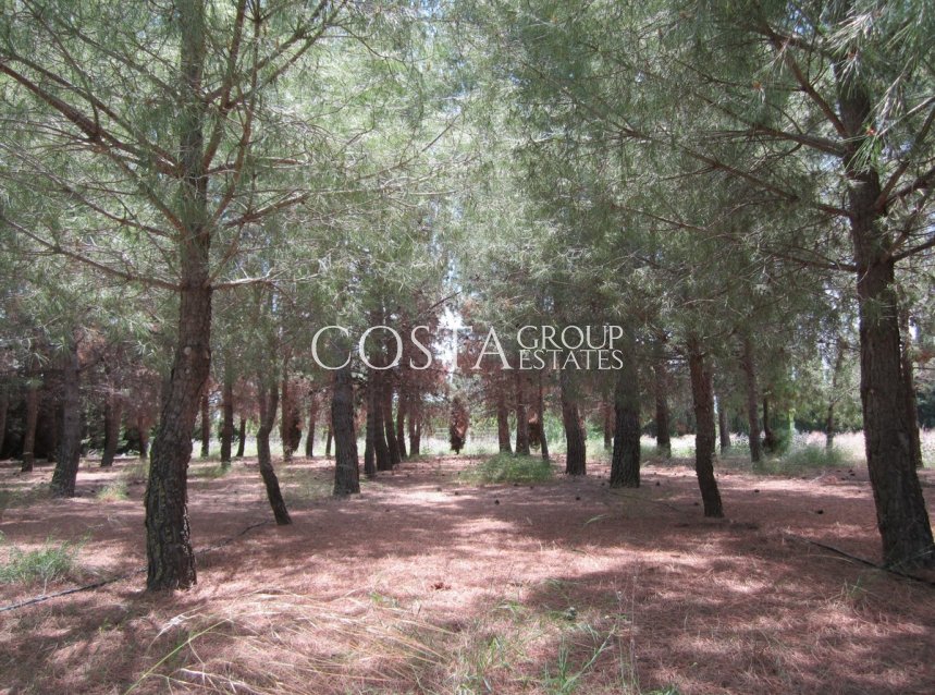 Revente - Villa -
Yecla - Yecla Centro