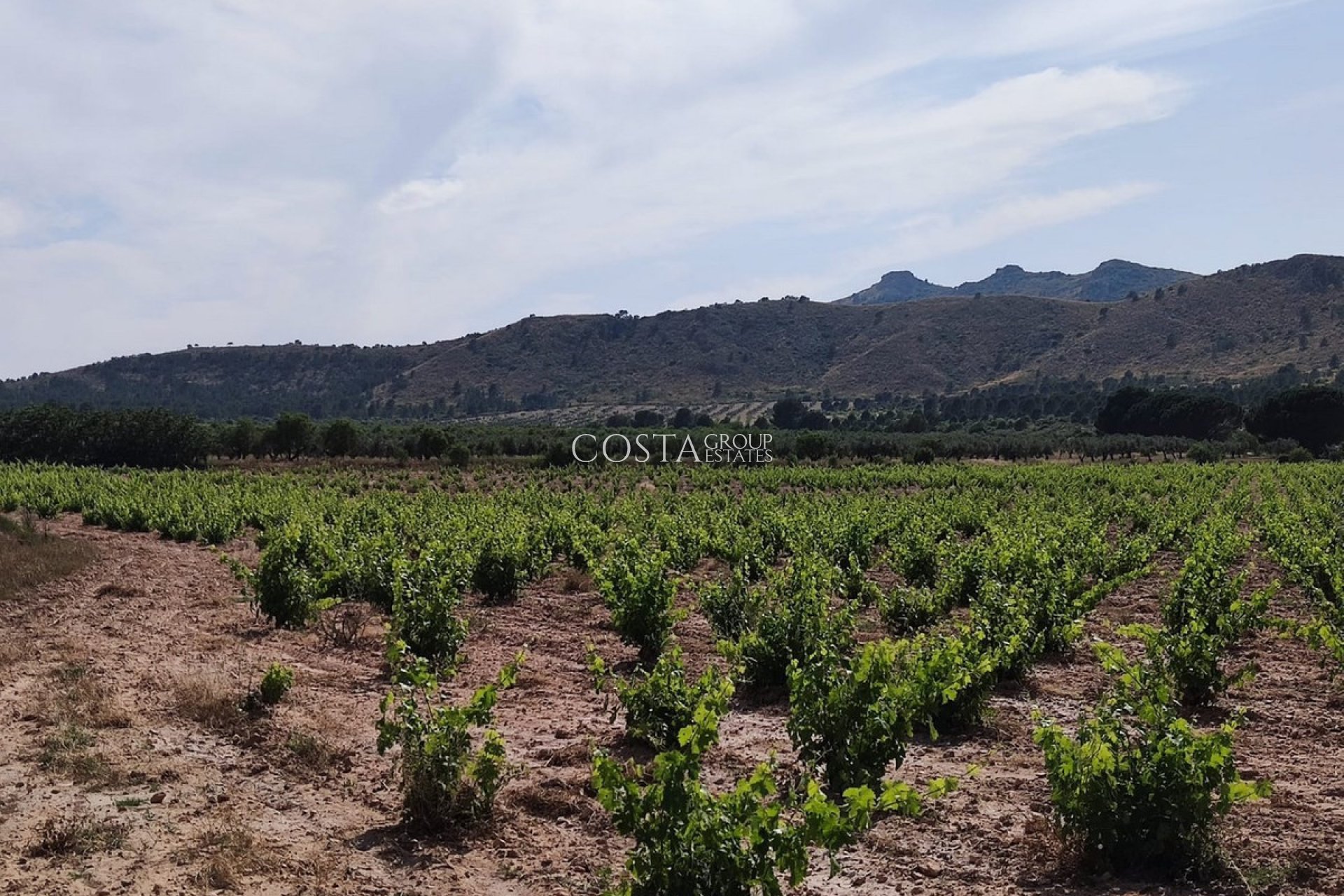 Revente - Villa -
Yecla - Yecla Centro