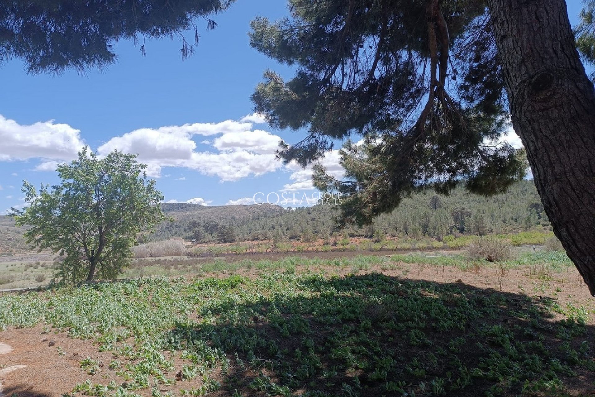 Revente - Villa -
Yecla - Yecla Centro